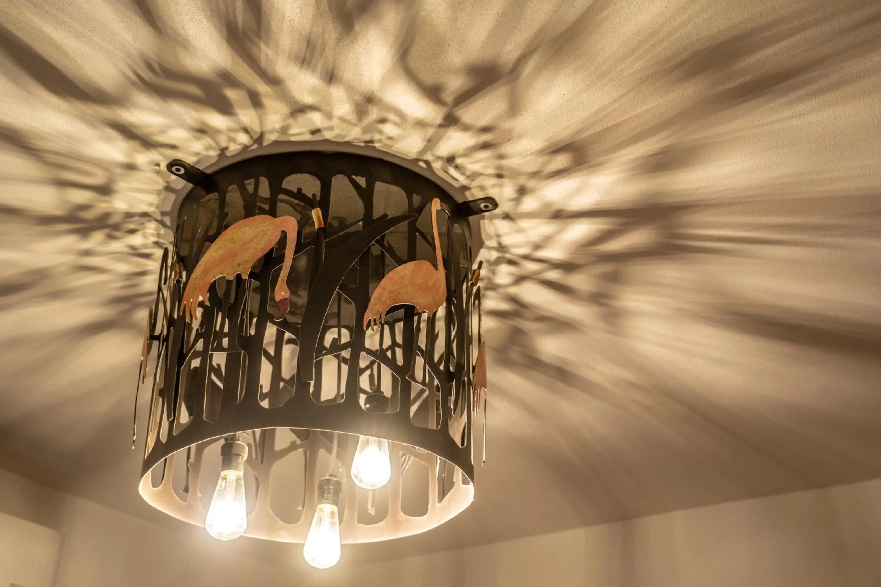 5 Frogs Hotel Bucerias