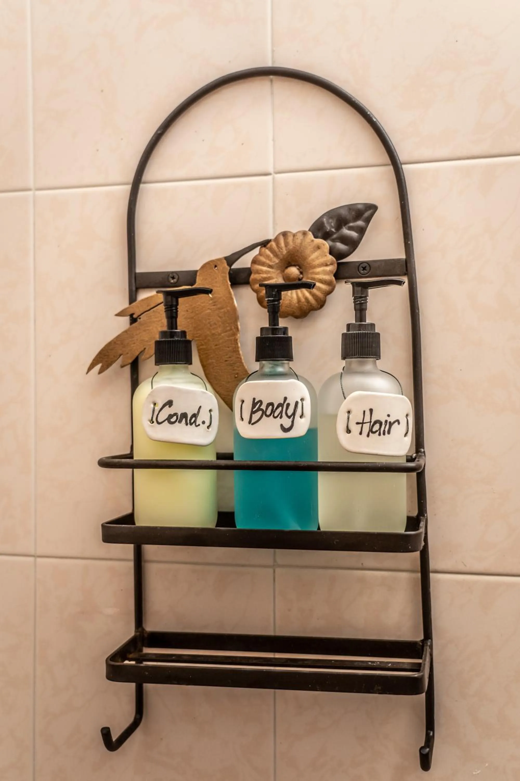 5 Frogs Hotel Bucerias