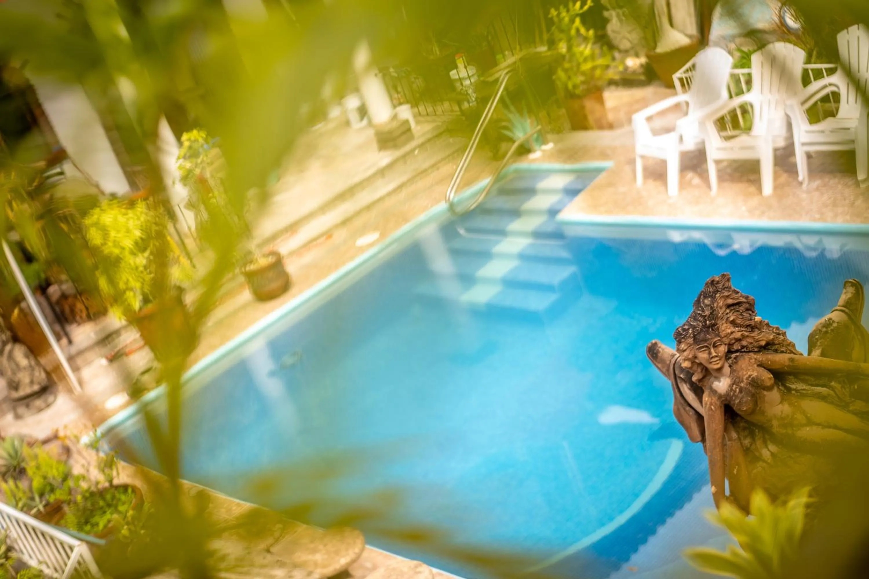 5 Frogs Hotel Bucerias