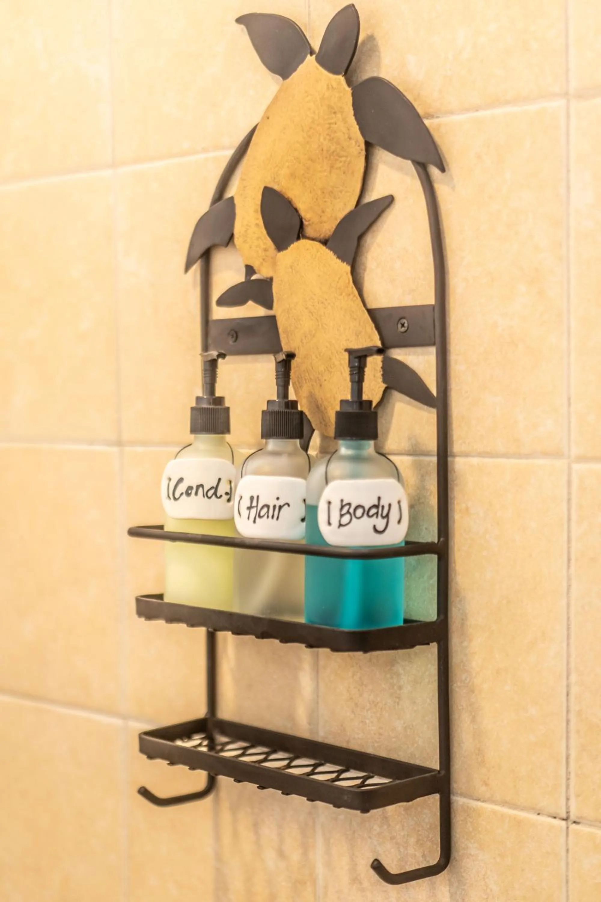 5 Frogs Hotel Bucerias