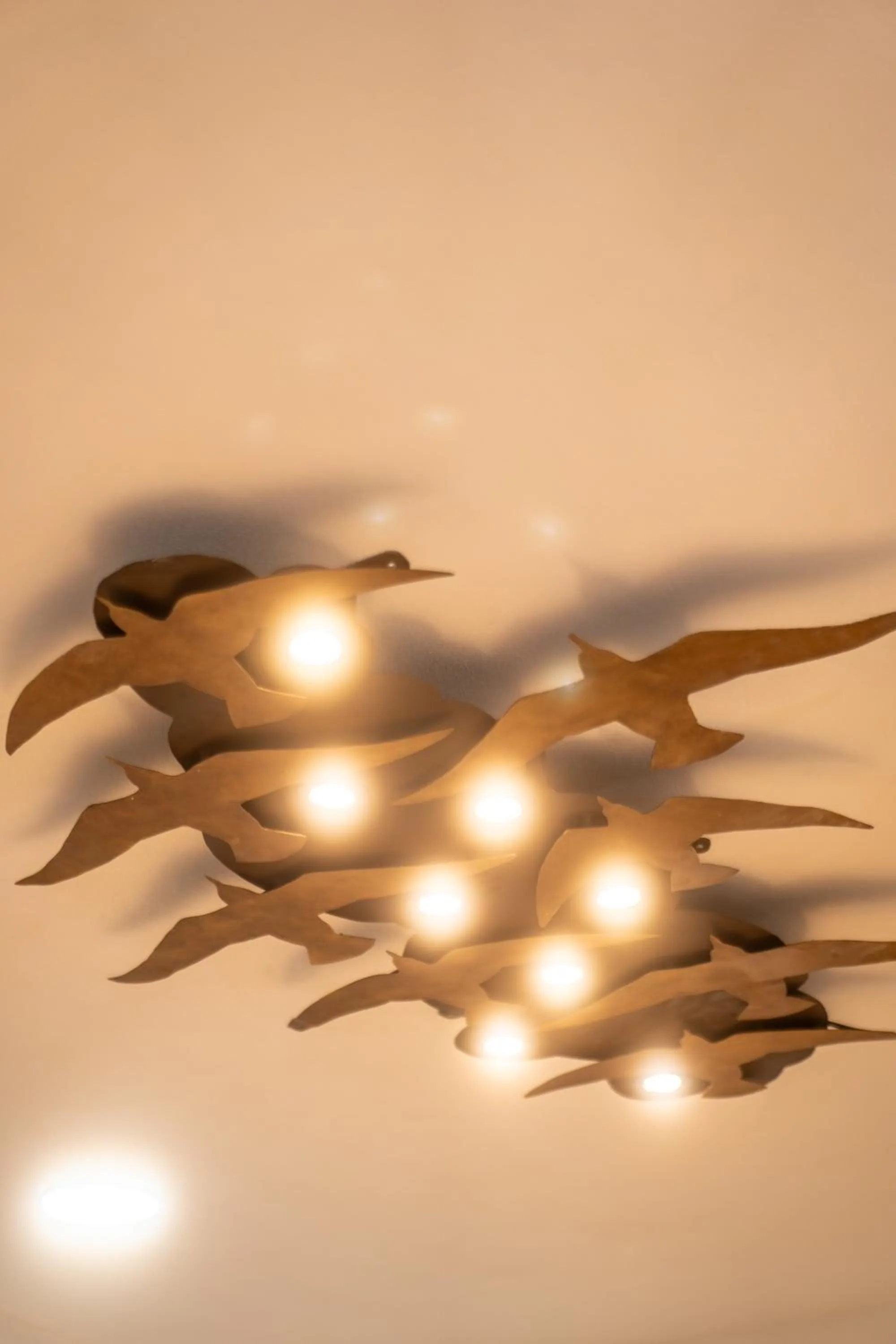 5 Frogs Hotel Bucerias