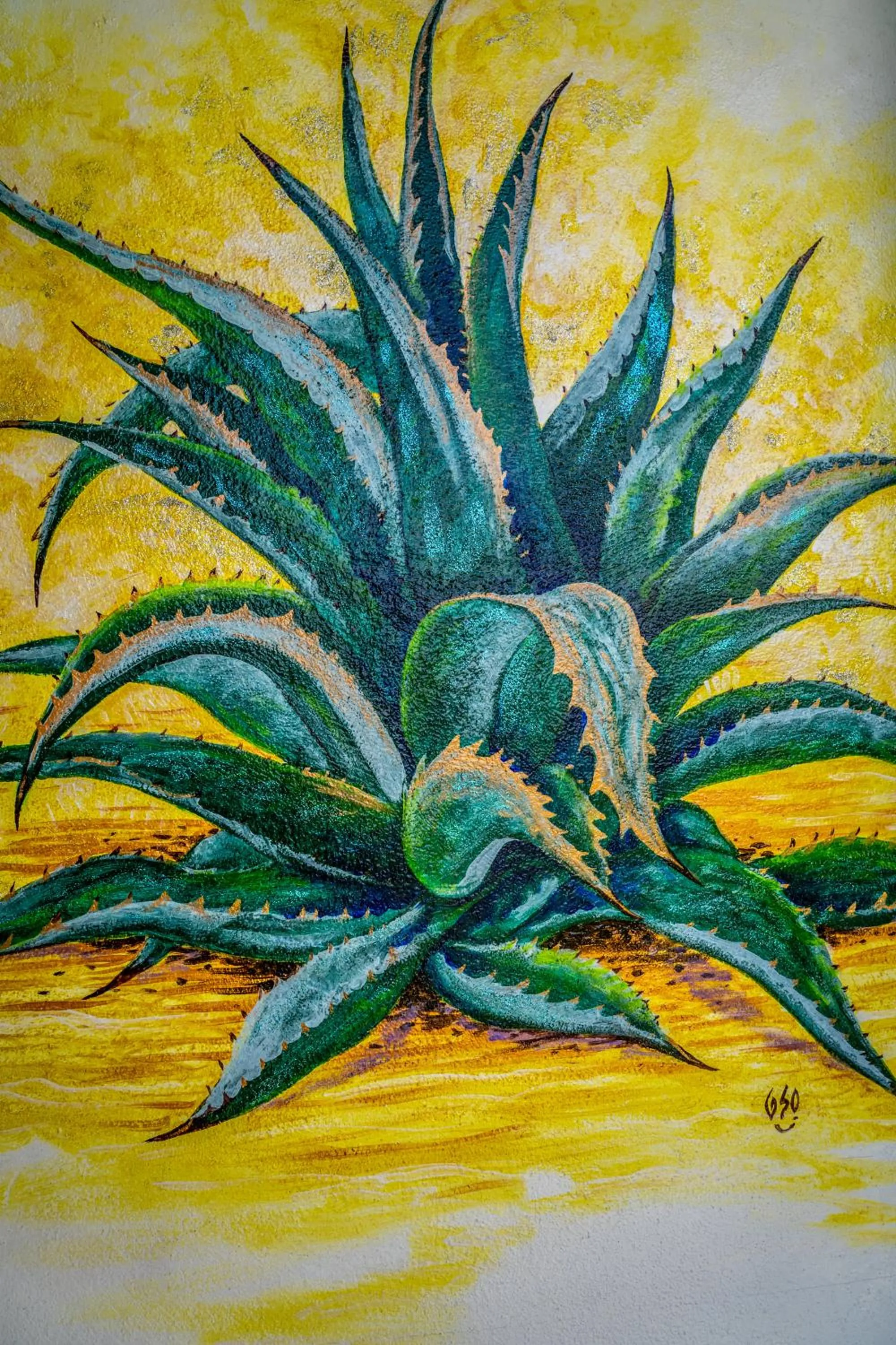 5 Frogs Hotel Bucerias