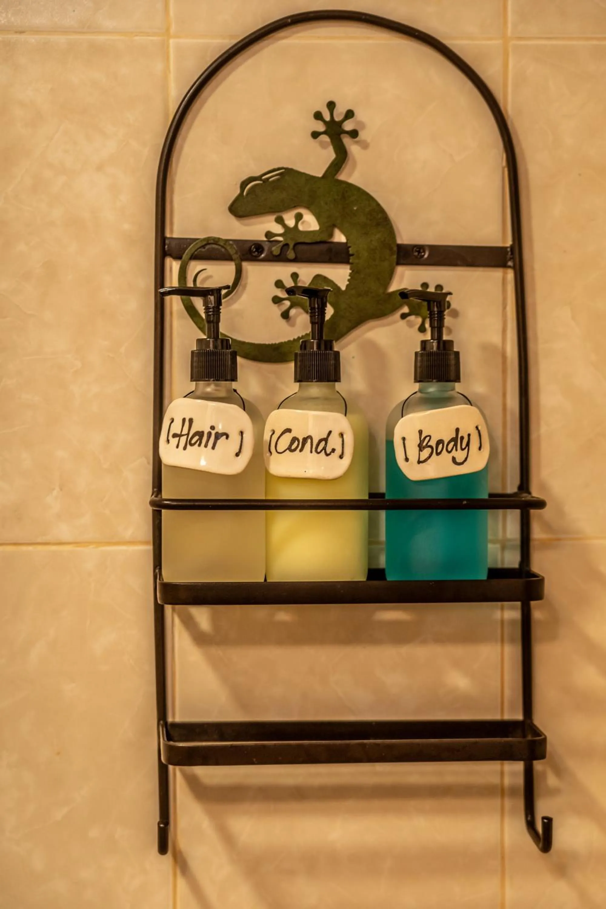 5 Frogs Hotel Bucerias