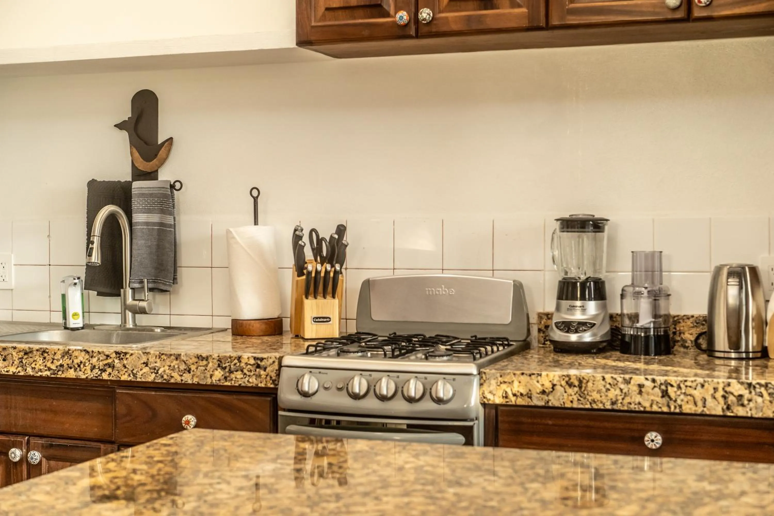 5 Frogs Hotel Bucerias