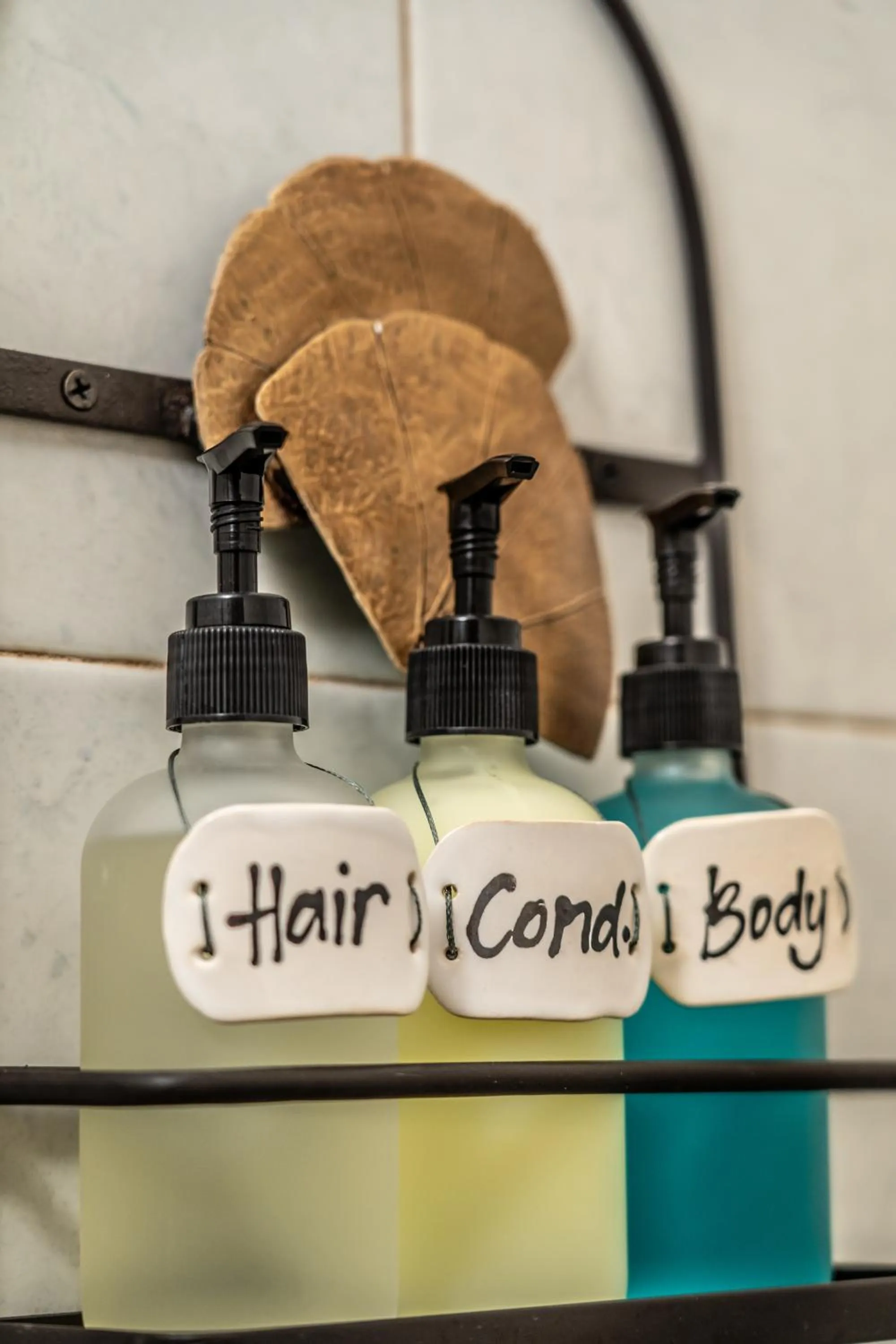 5 Frogs Hotel Bucerias