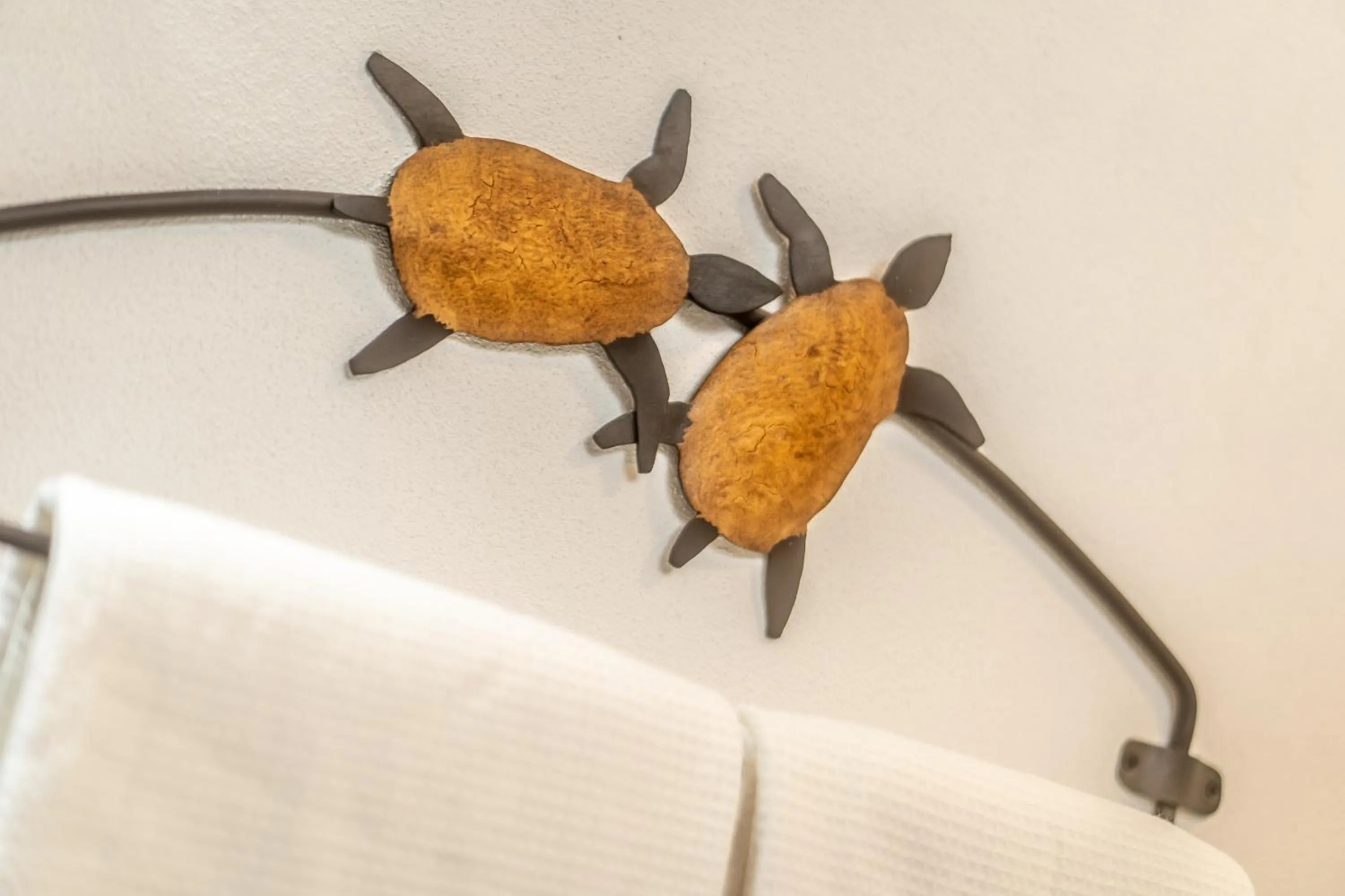 5 Frogs Hotel Bucerias