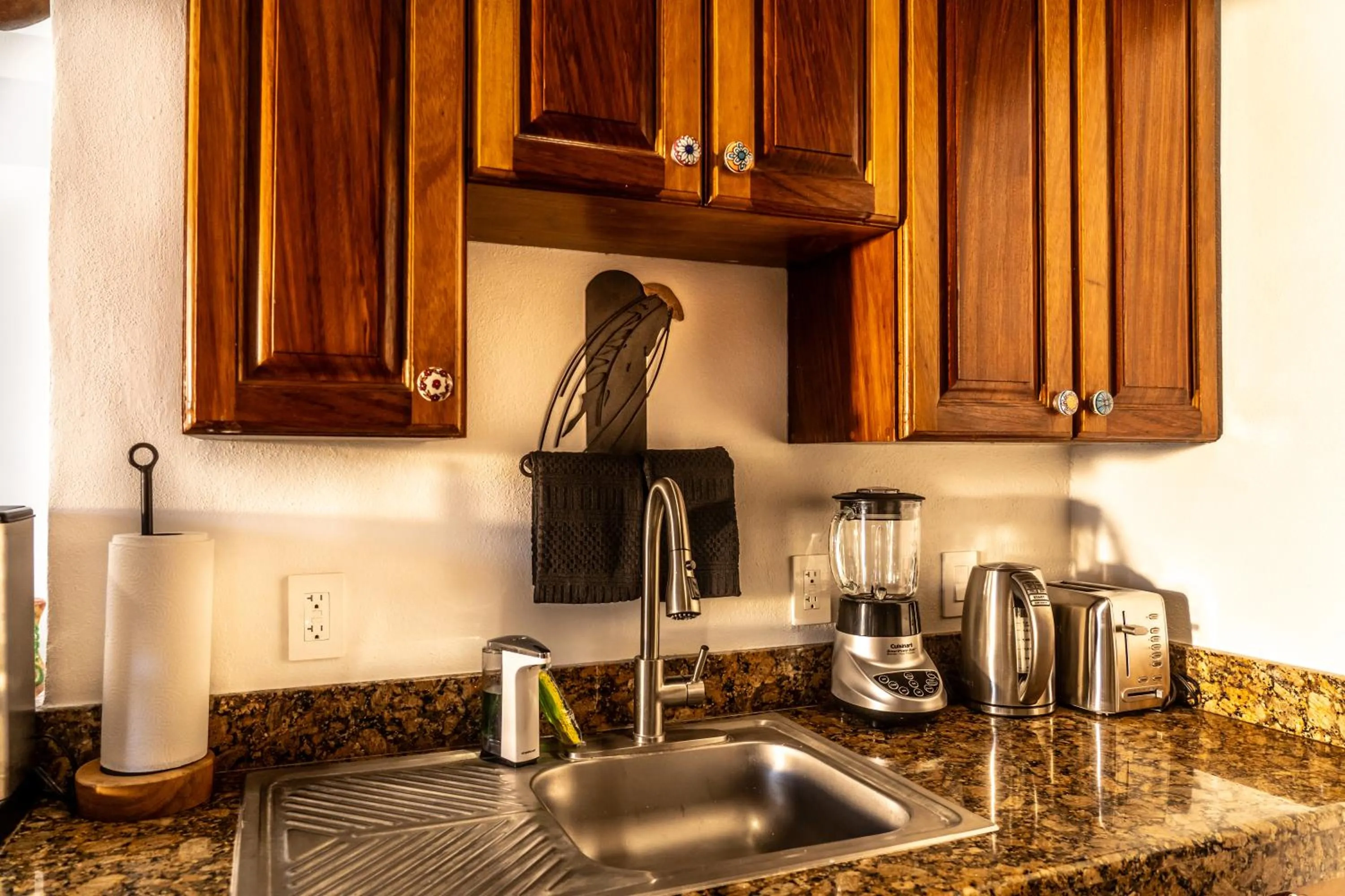 5 Frogs Hotel Bucerias