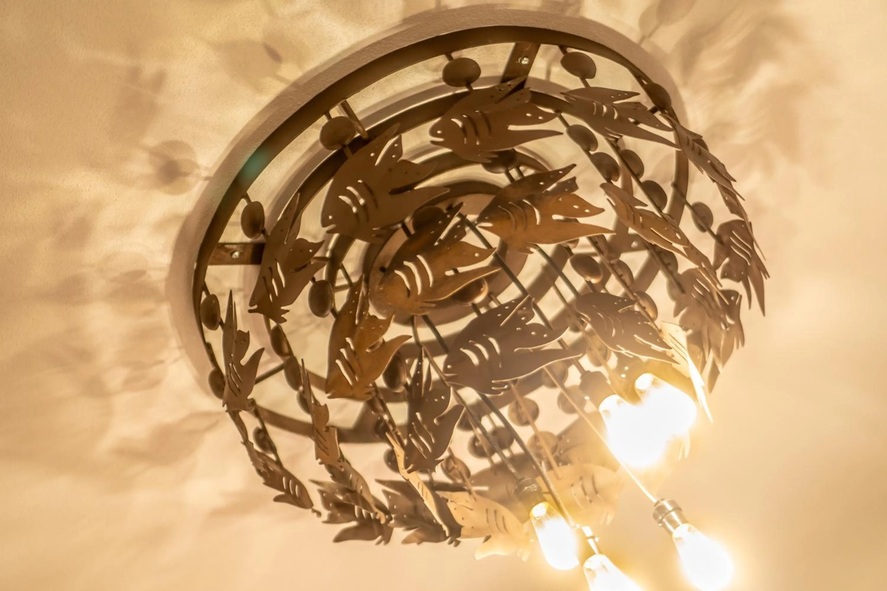 5 Frogs Hotel Bucerias