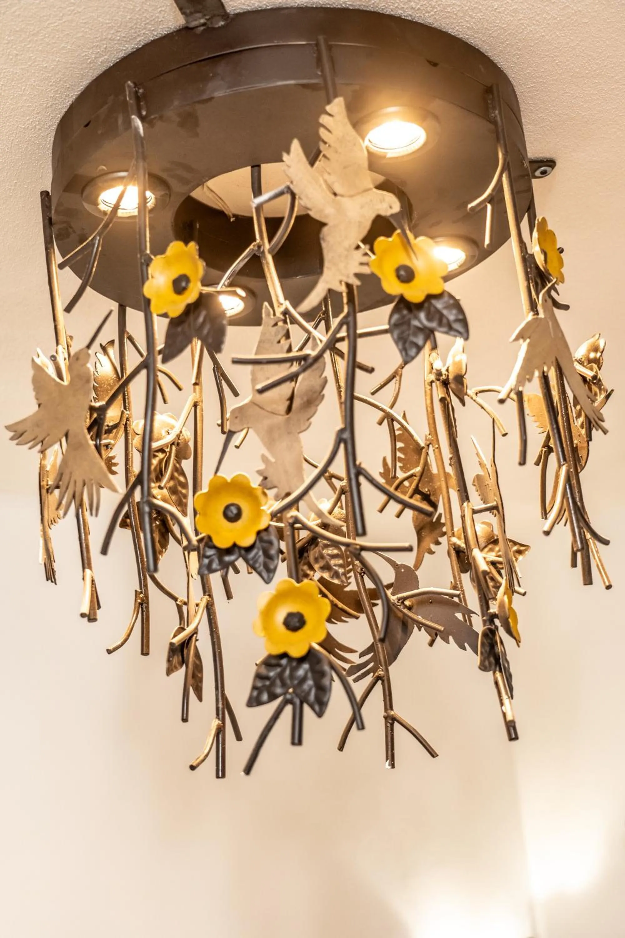 5 Frogs Hotel Bucerias