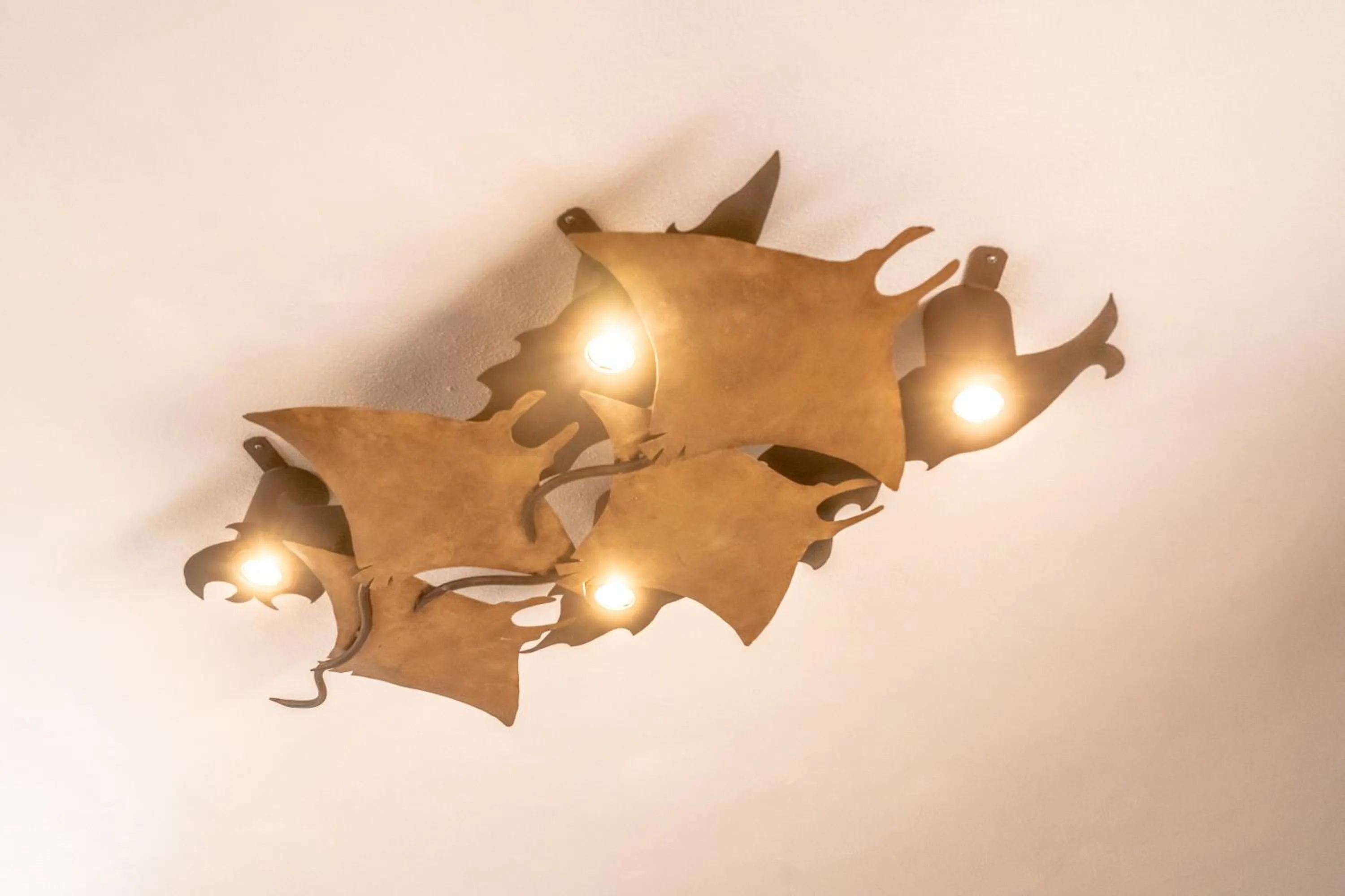 5 Frogs Hotel Bucerias