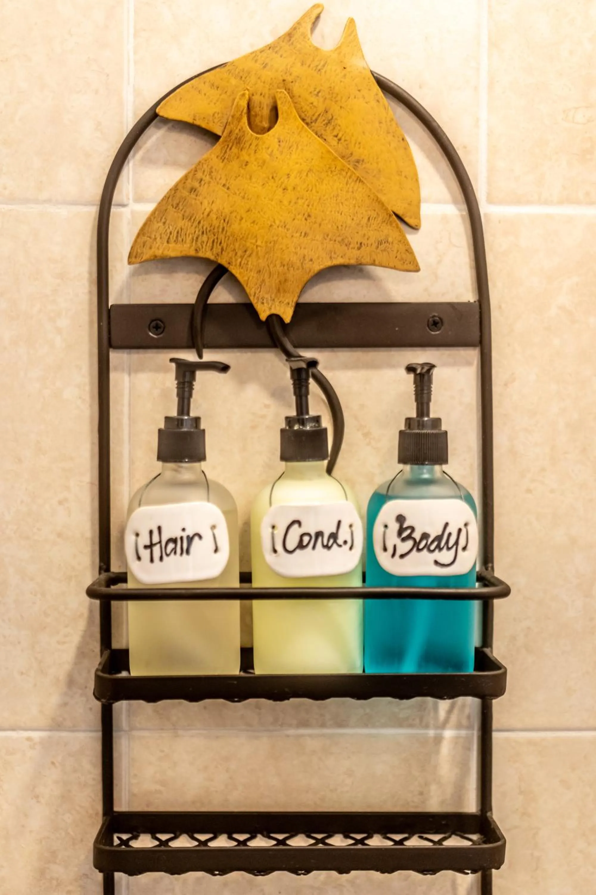 5 Frogs Hotel Bucerias