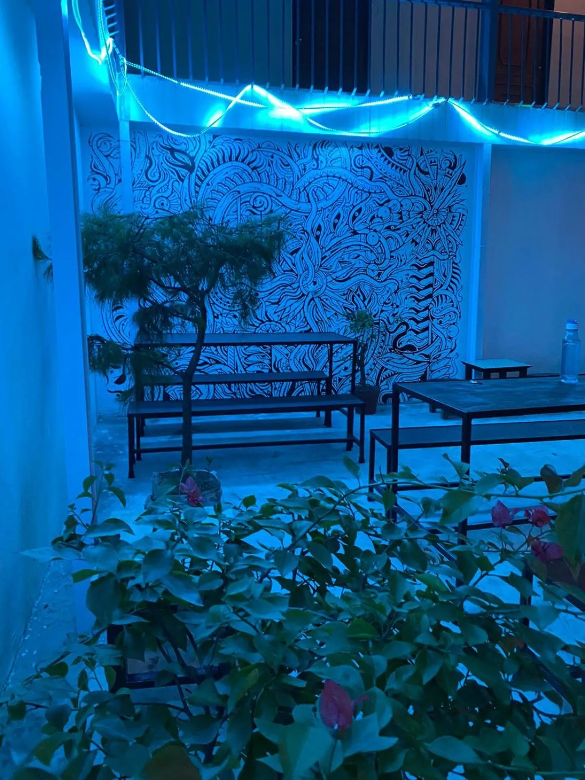 Restaurant/places to eat in Hotel Northfield