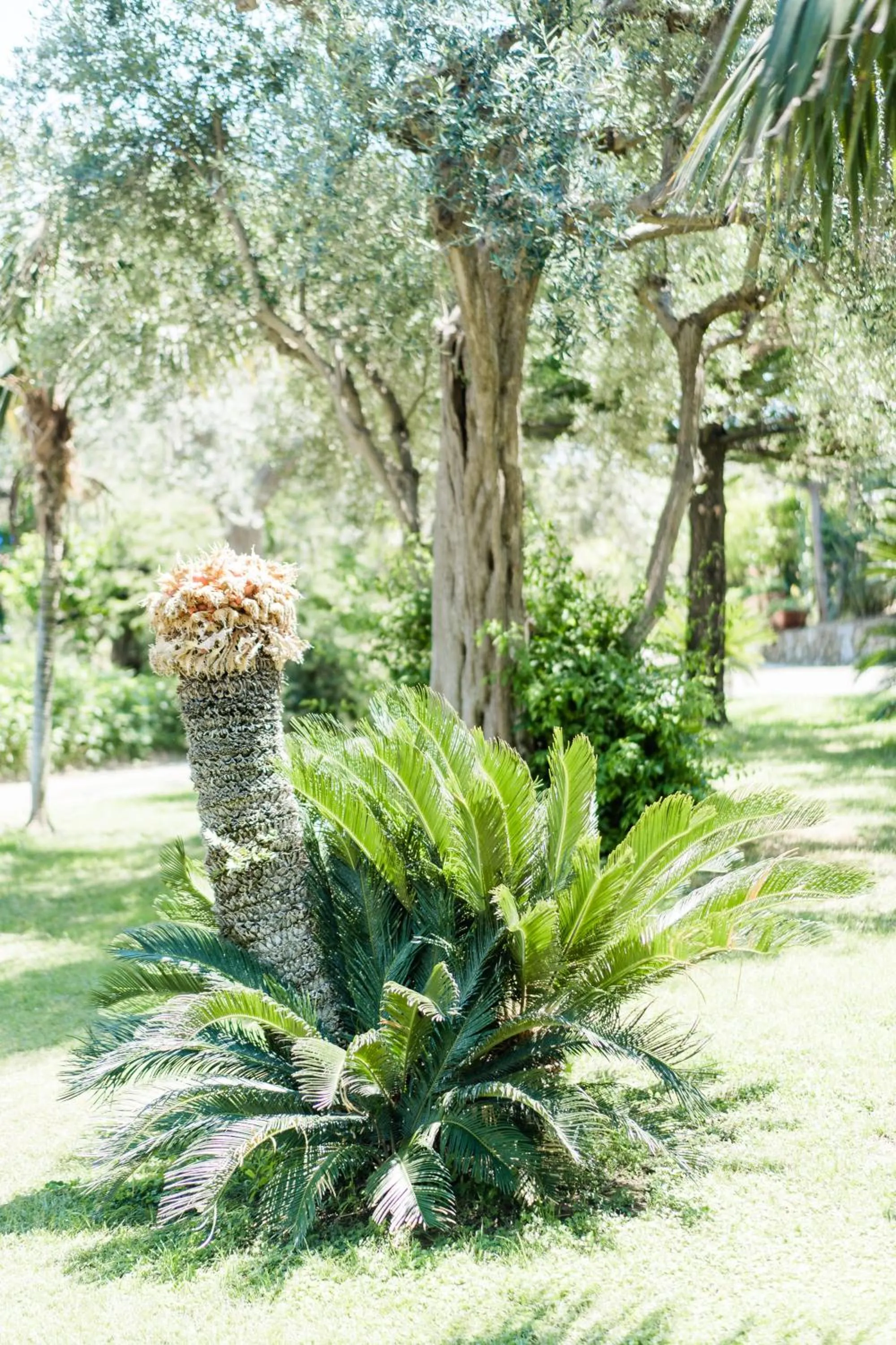 Capo Santa Fortunata