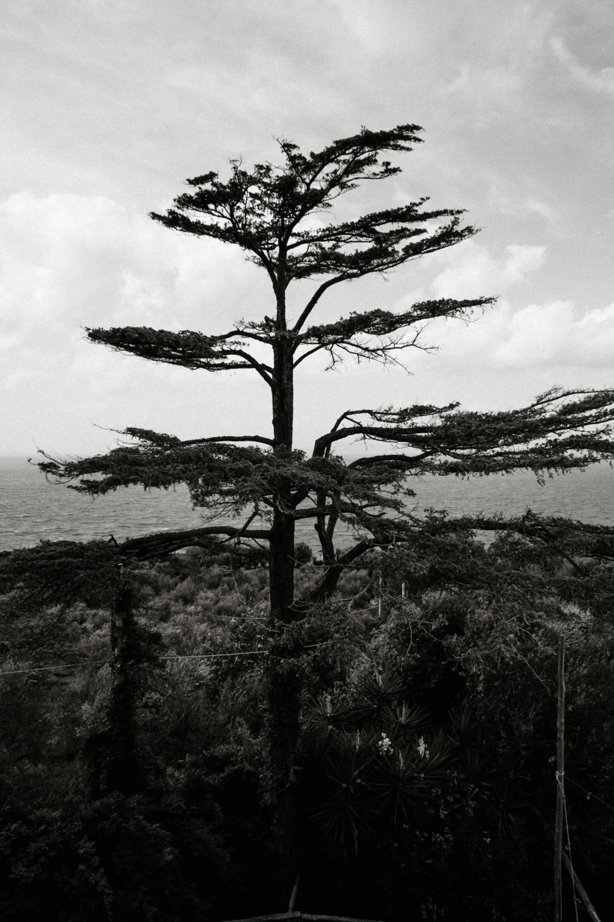 Capo Santa Fortunata