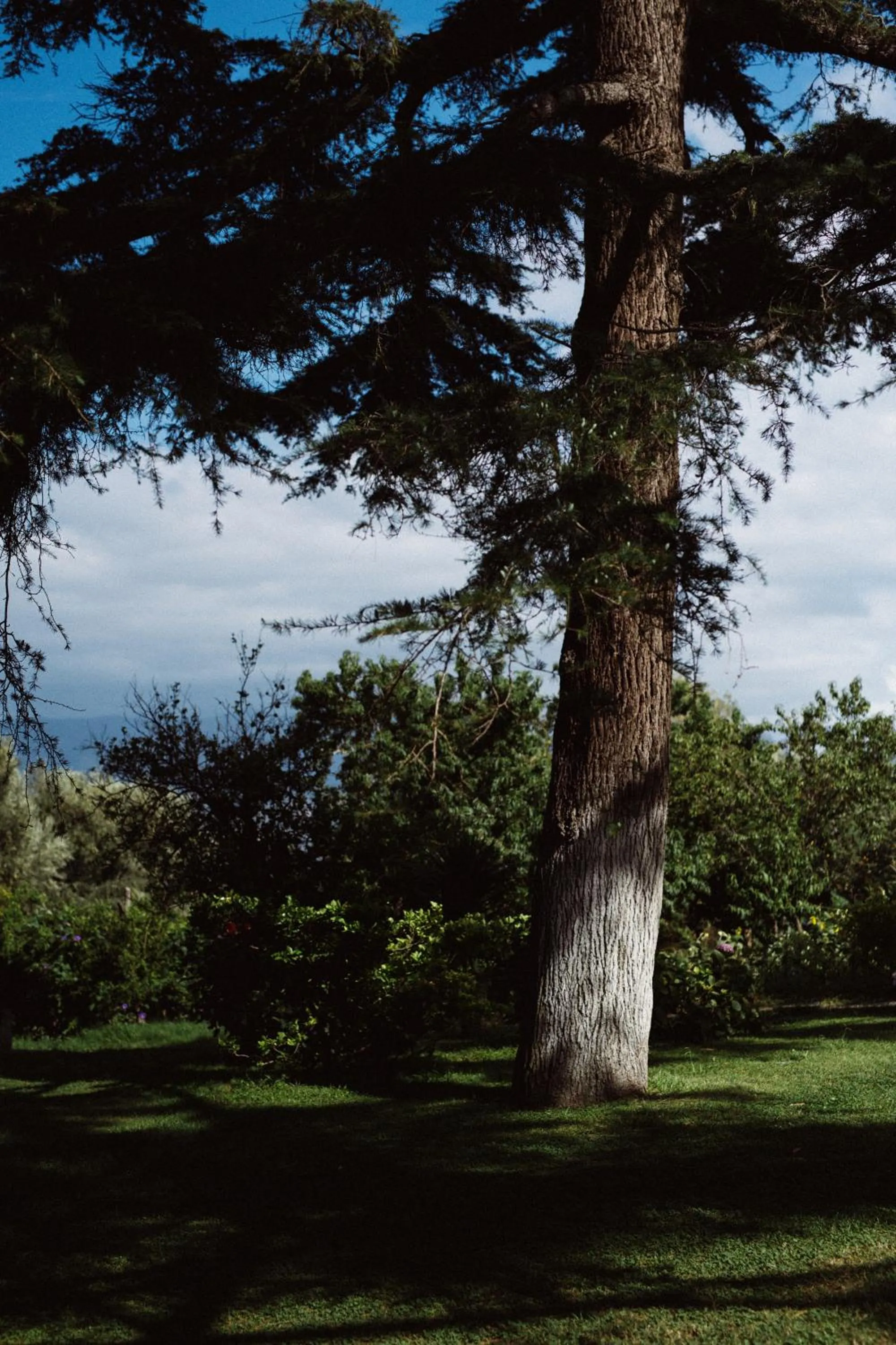 Capo Santa Fortunata