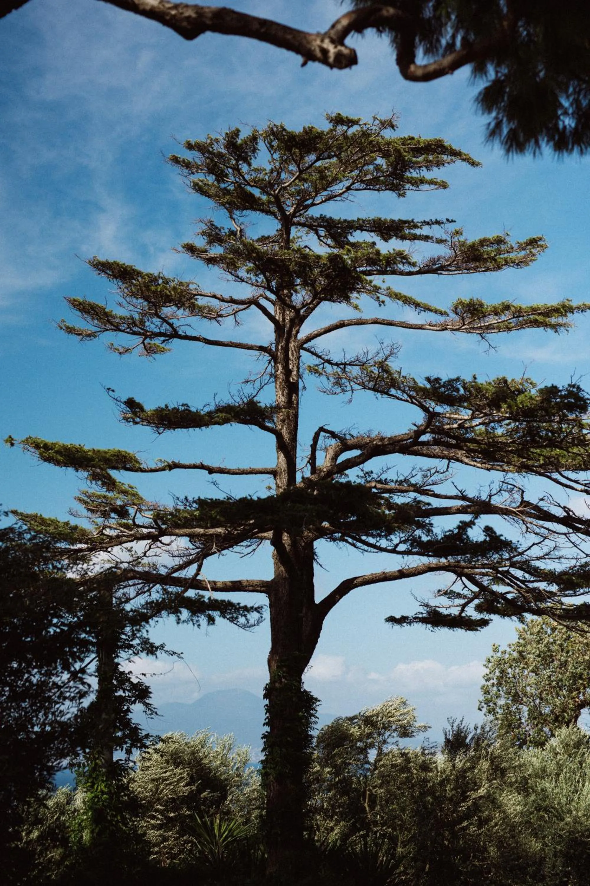 Capo Santa Fortunata