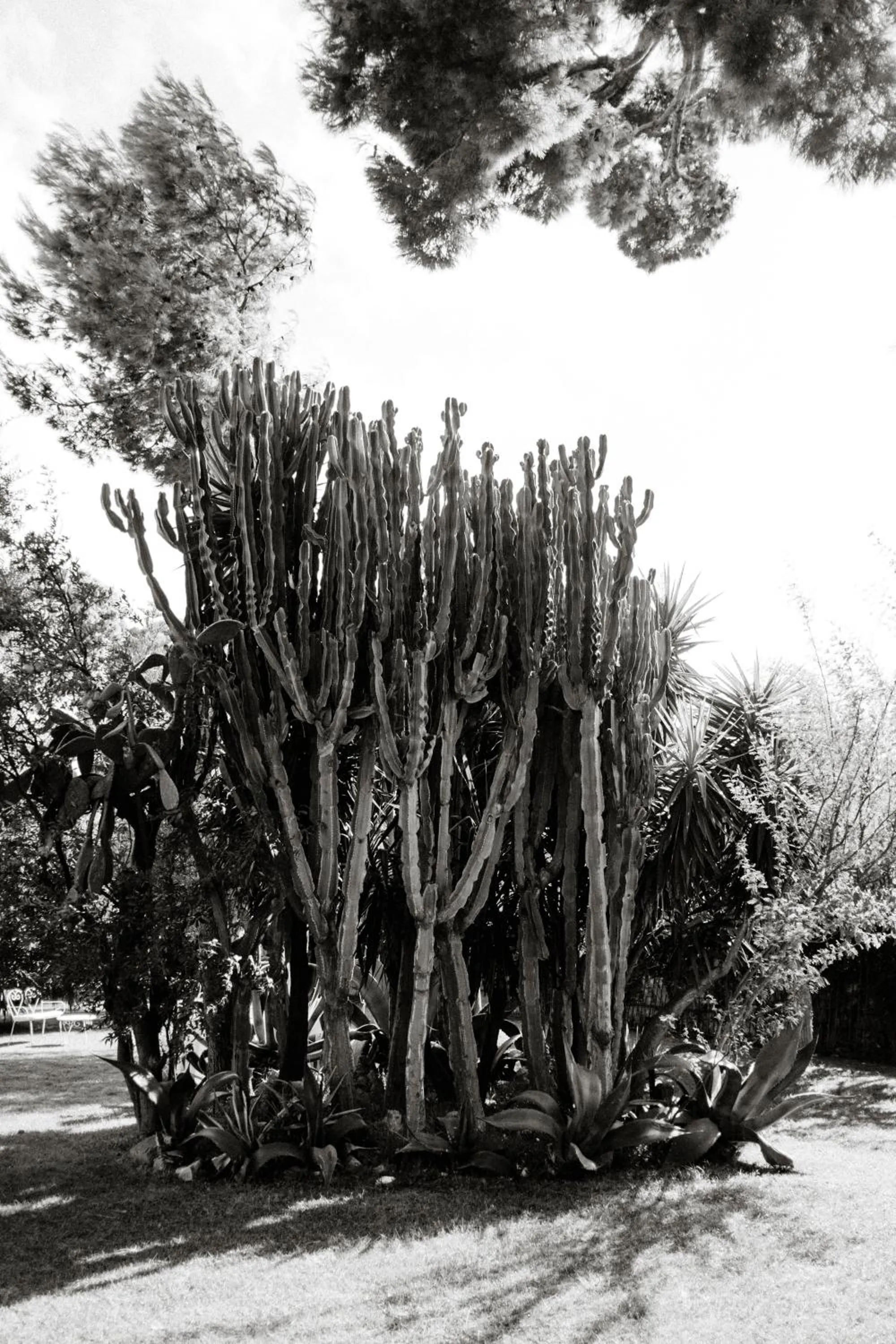 Capo Santa Fortunata