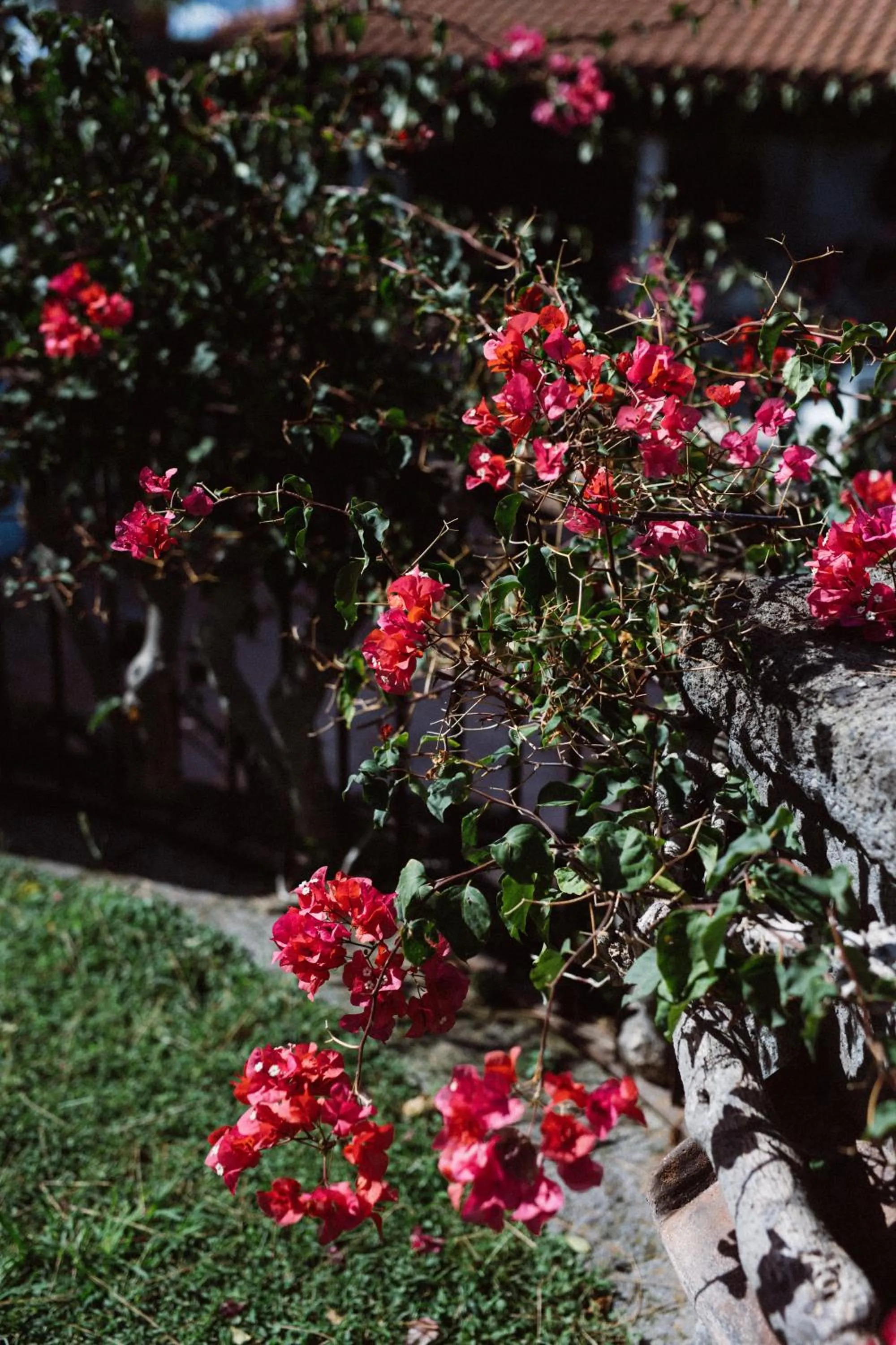 Capo Santa Fortunata