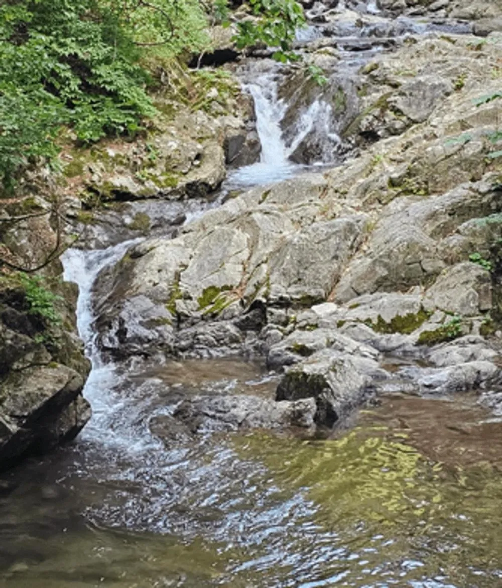 Fortune Rising Sun Hill Pension B