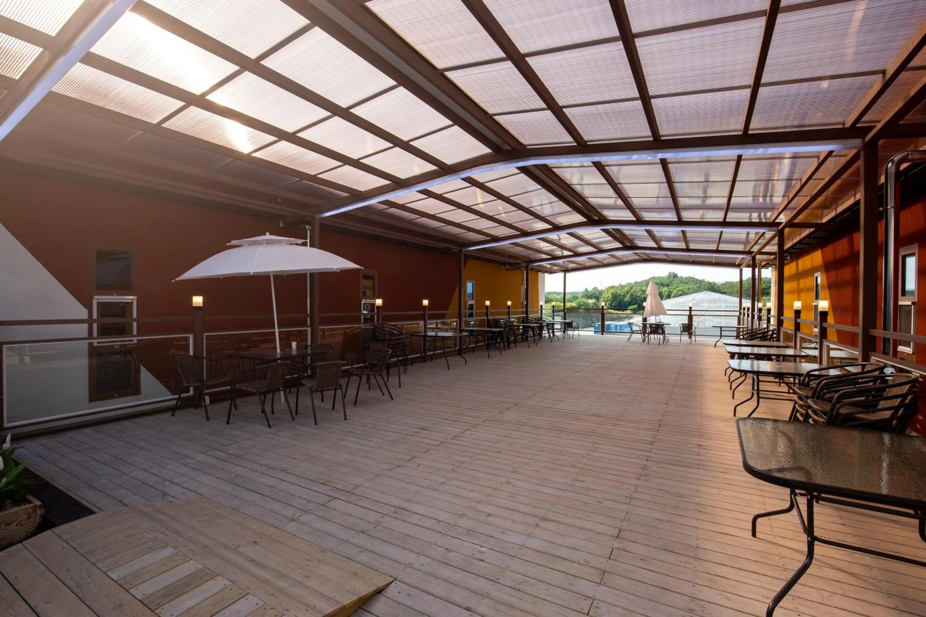 Yeongcheon Auno feliz