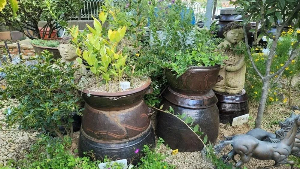 Gunsan Seongsanae Pension