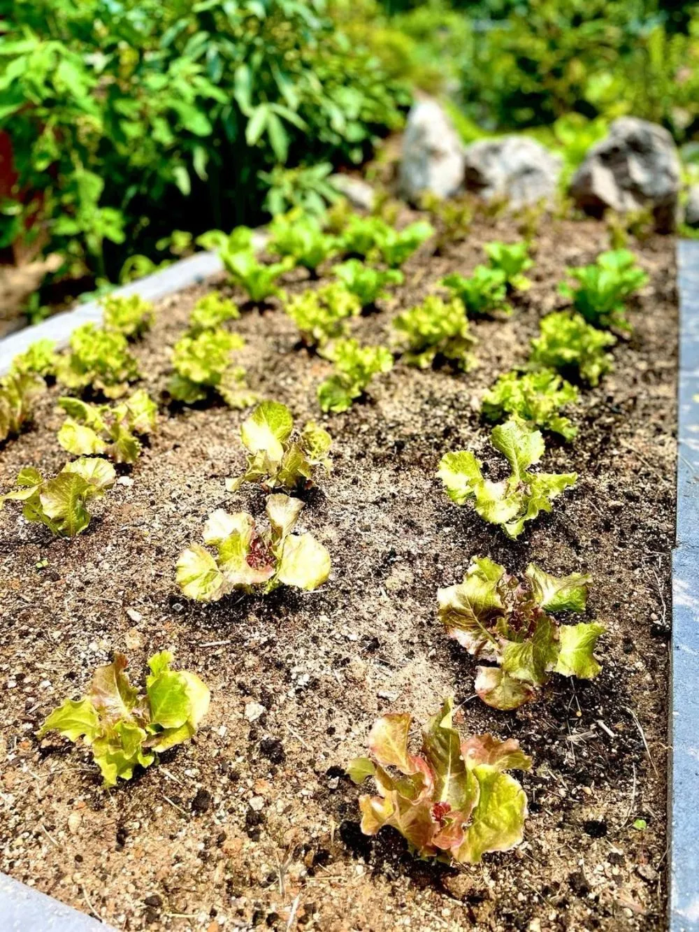 Gunsan Seongsanae Pension