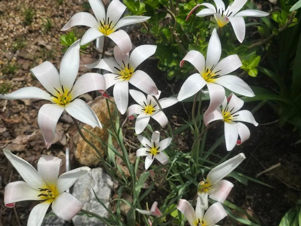 Gunsan Seongsanae Pension