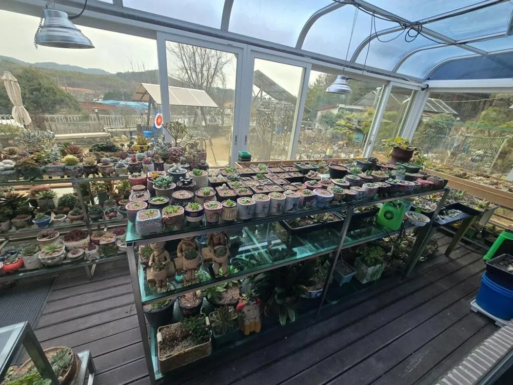 Gunsan Seongsanae Pension