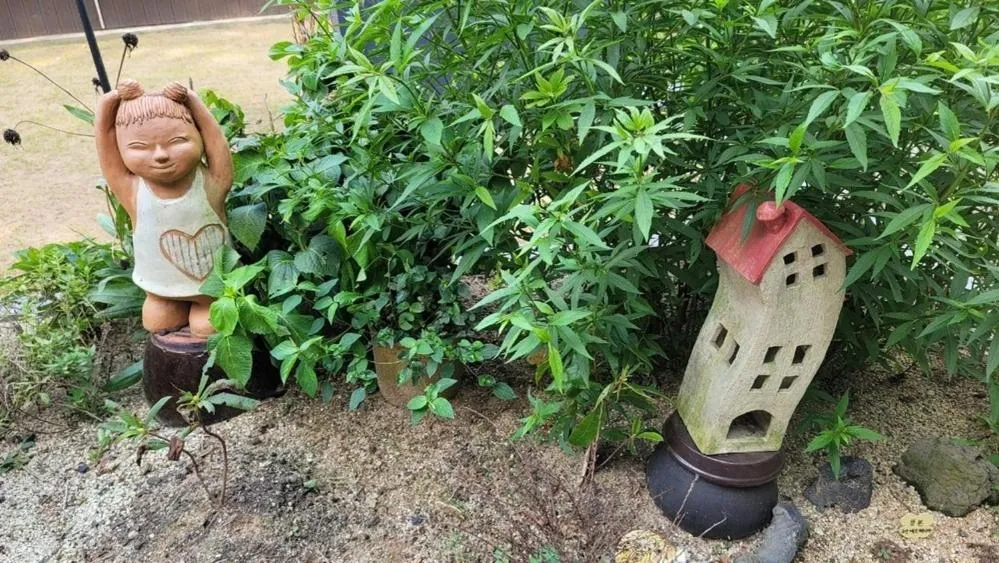 Gunsan Seongsanae Pension