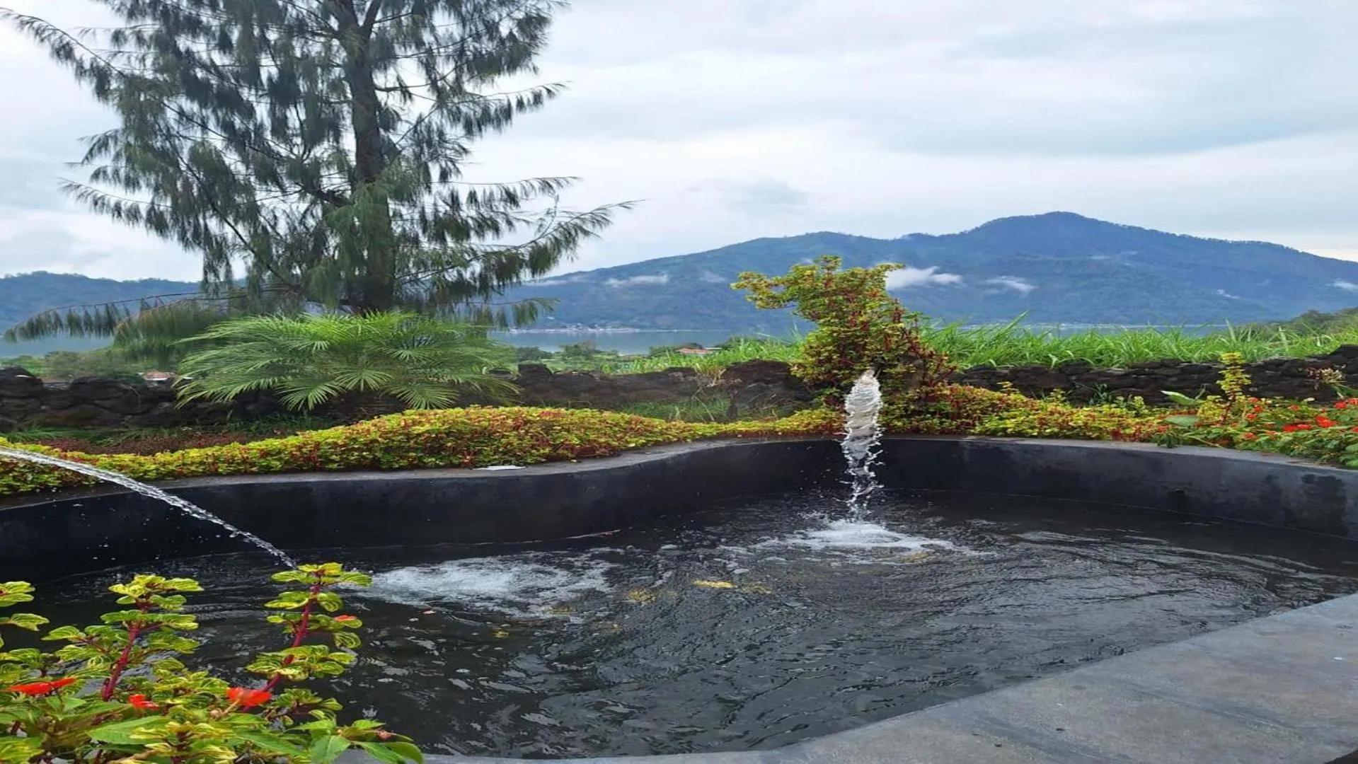 Garden in Belvilla Break Coffee Kintamani