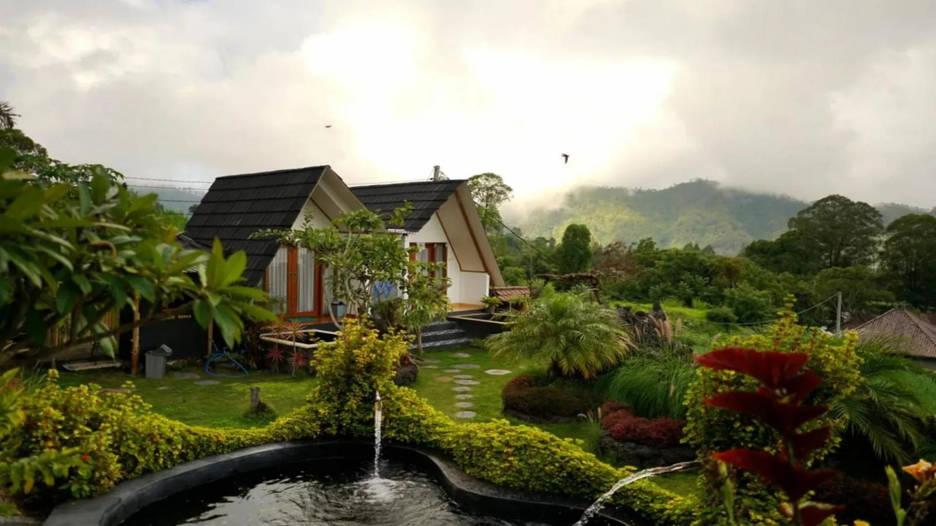 Garden in Belvilla Break Coffee Kintamani