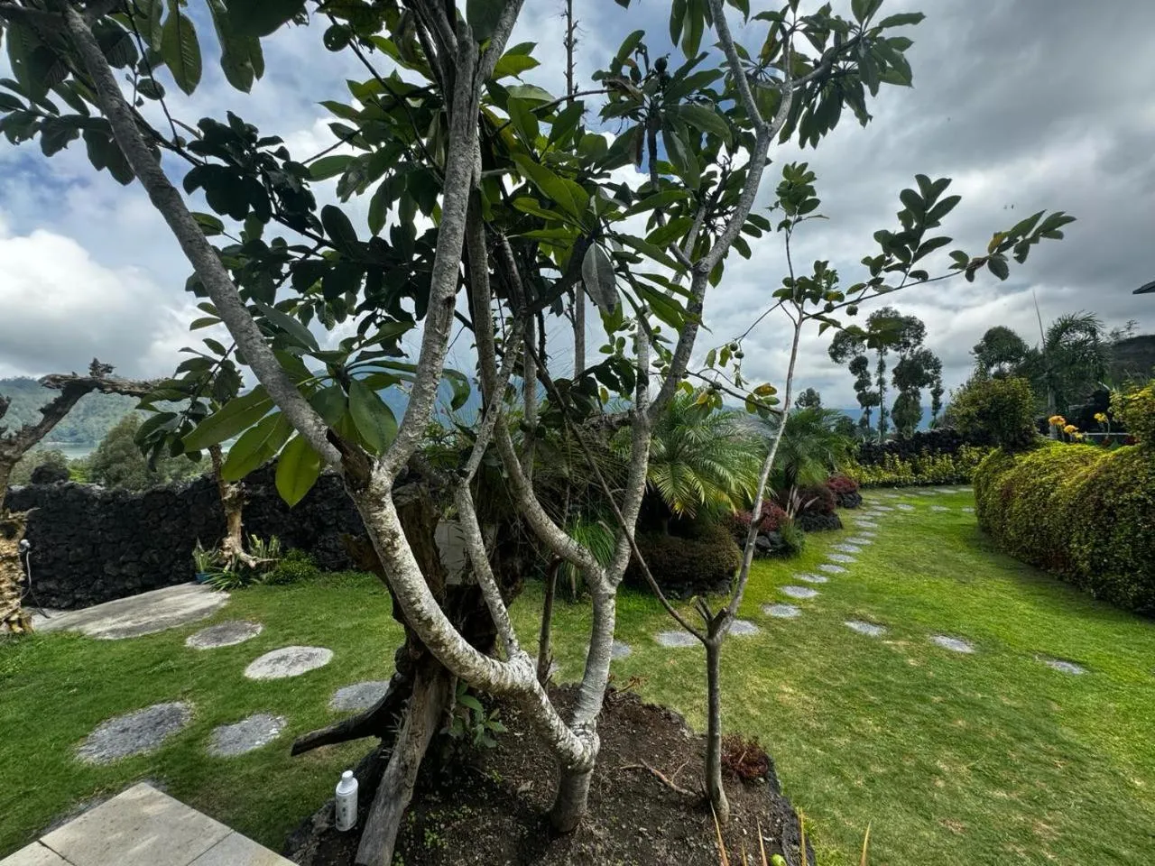 Garden in Belvilla Break Coffee Kintamani