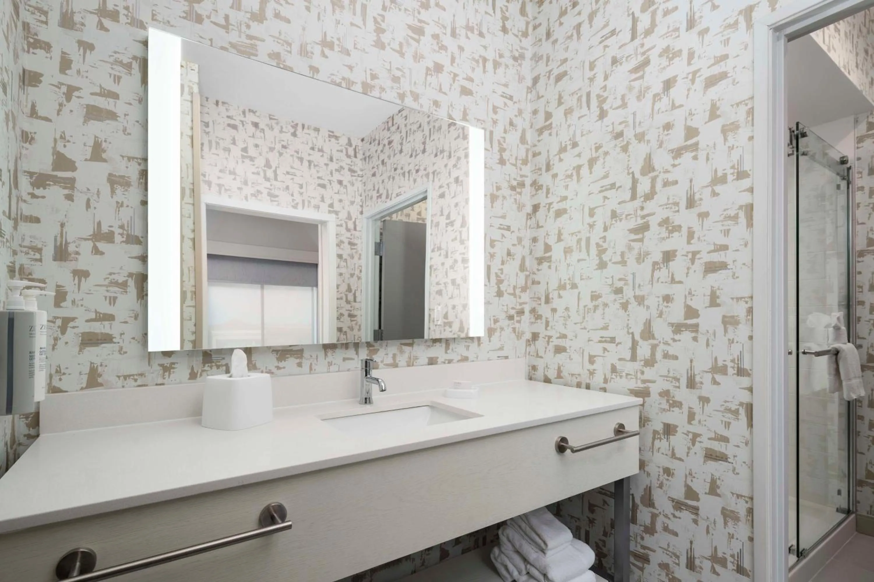 Bathroom in Hampton Inn & Suites Amarillo West