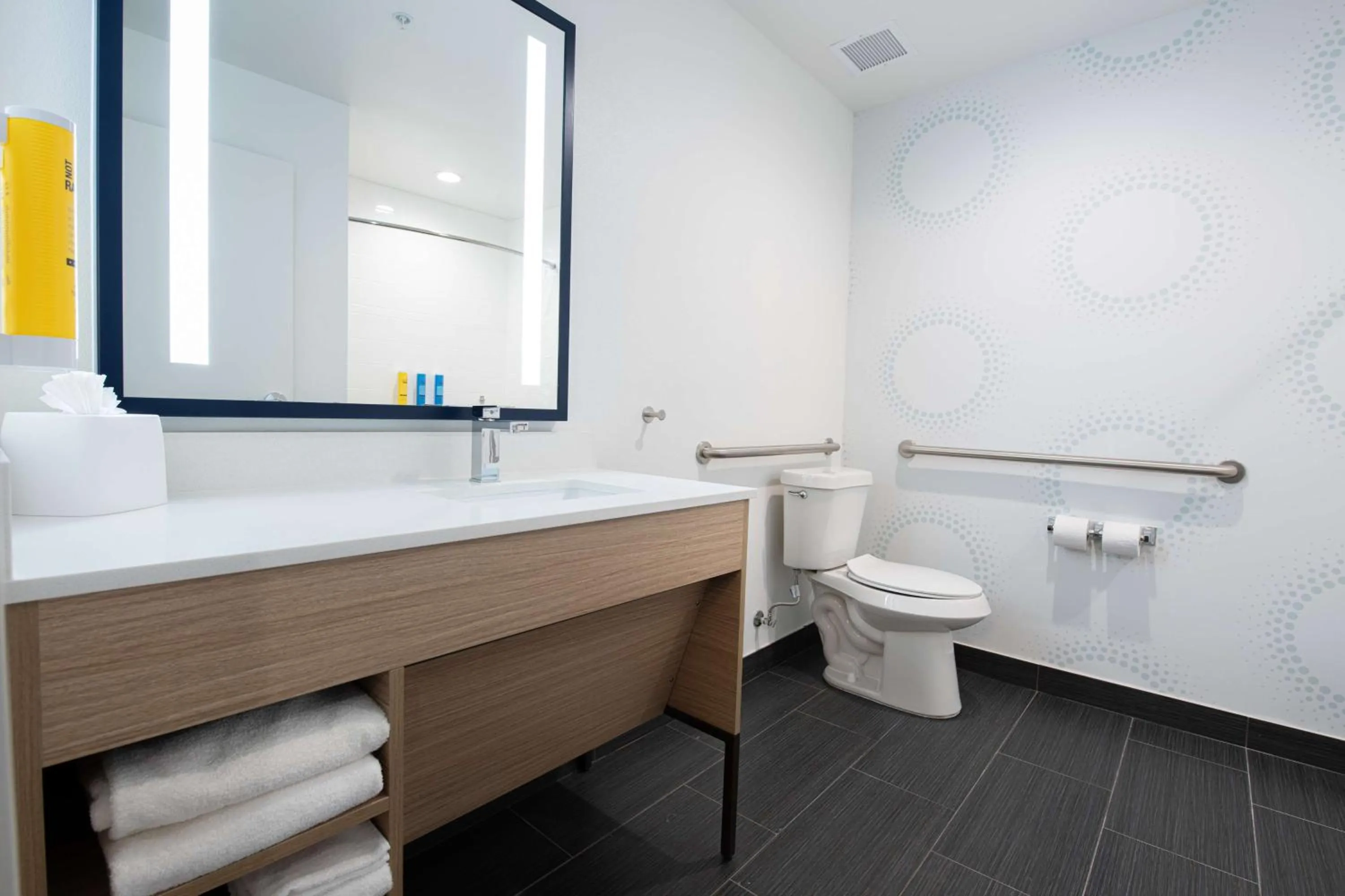 Bathroom in Tru By Hilton Lewisville Vista Ridge Mall