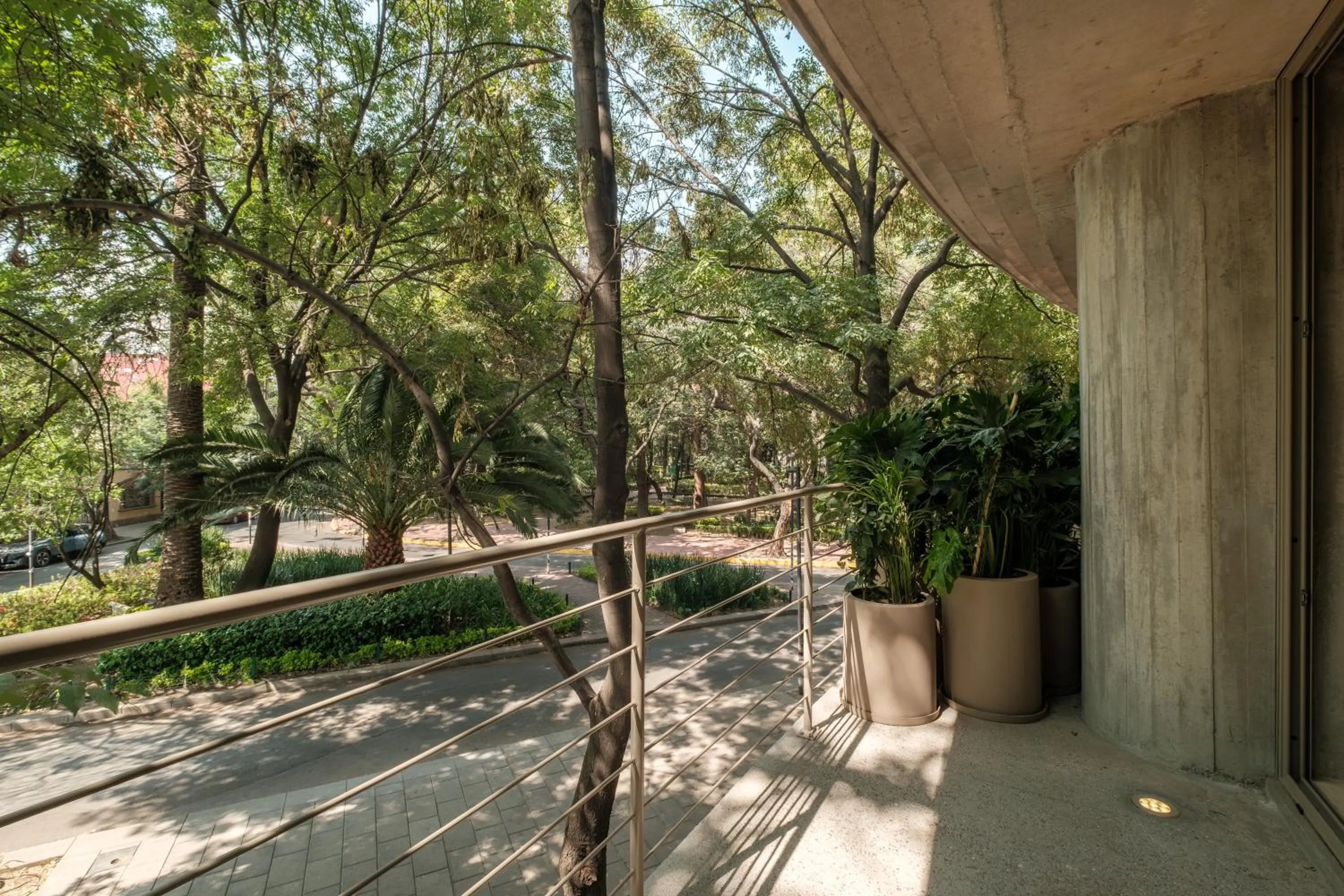 Spring in Nido Parque Mexico