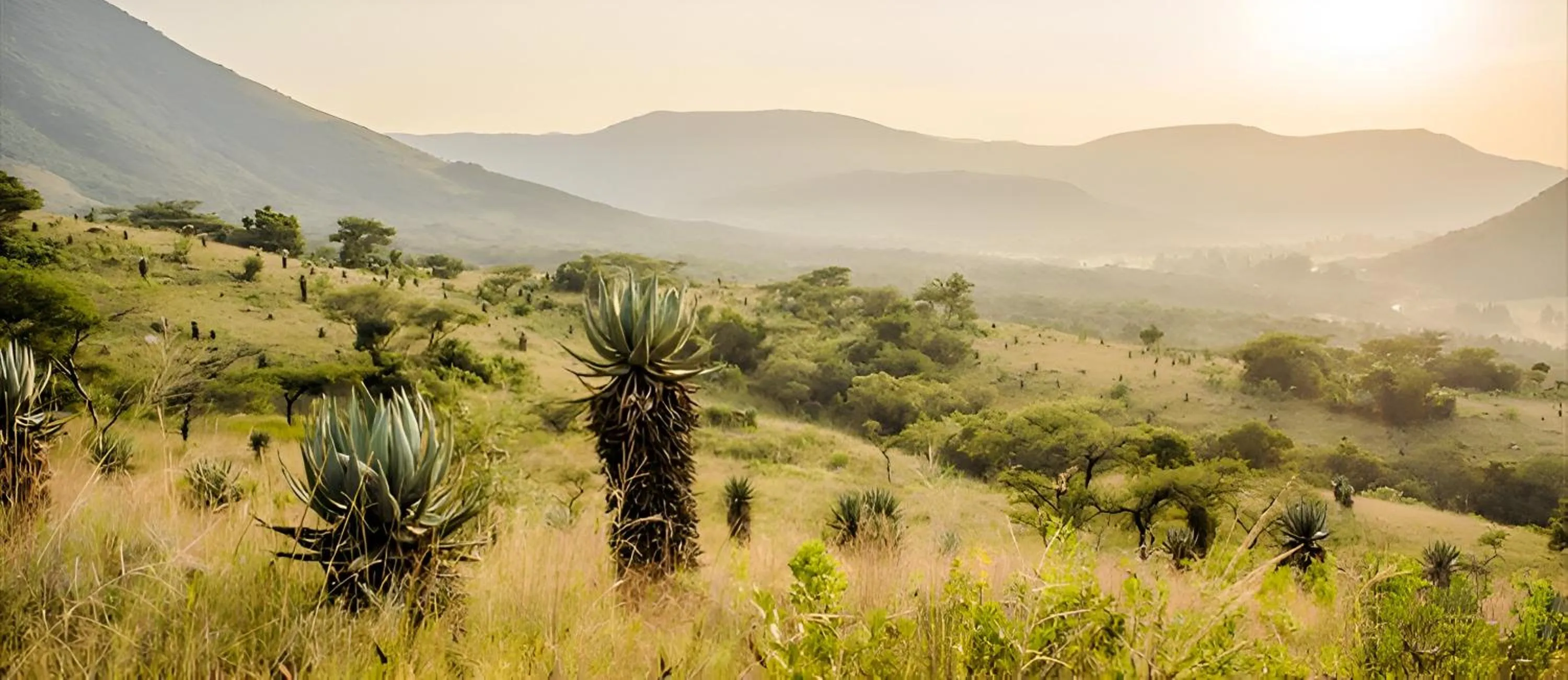 Elangeni Holiday Resort