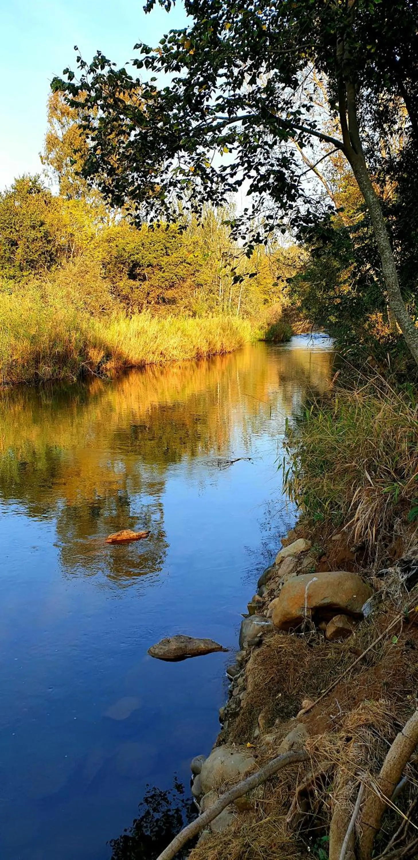 Activities in Elangeni Holiday Resort