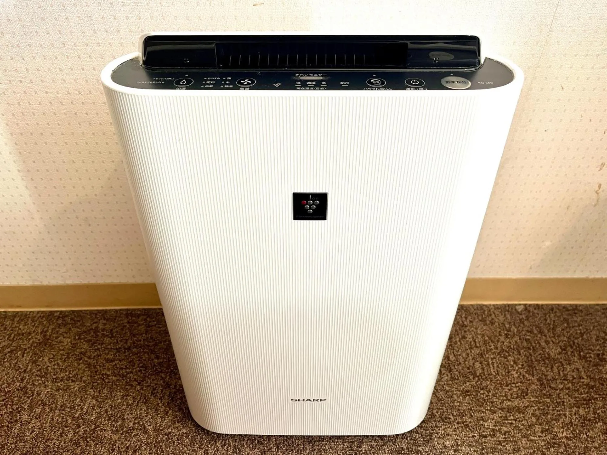 Other in Nakamura Daiichi Hotel