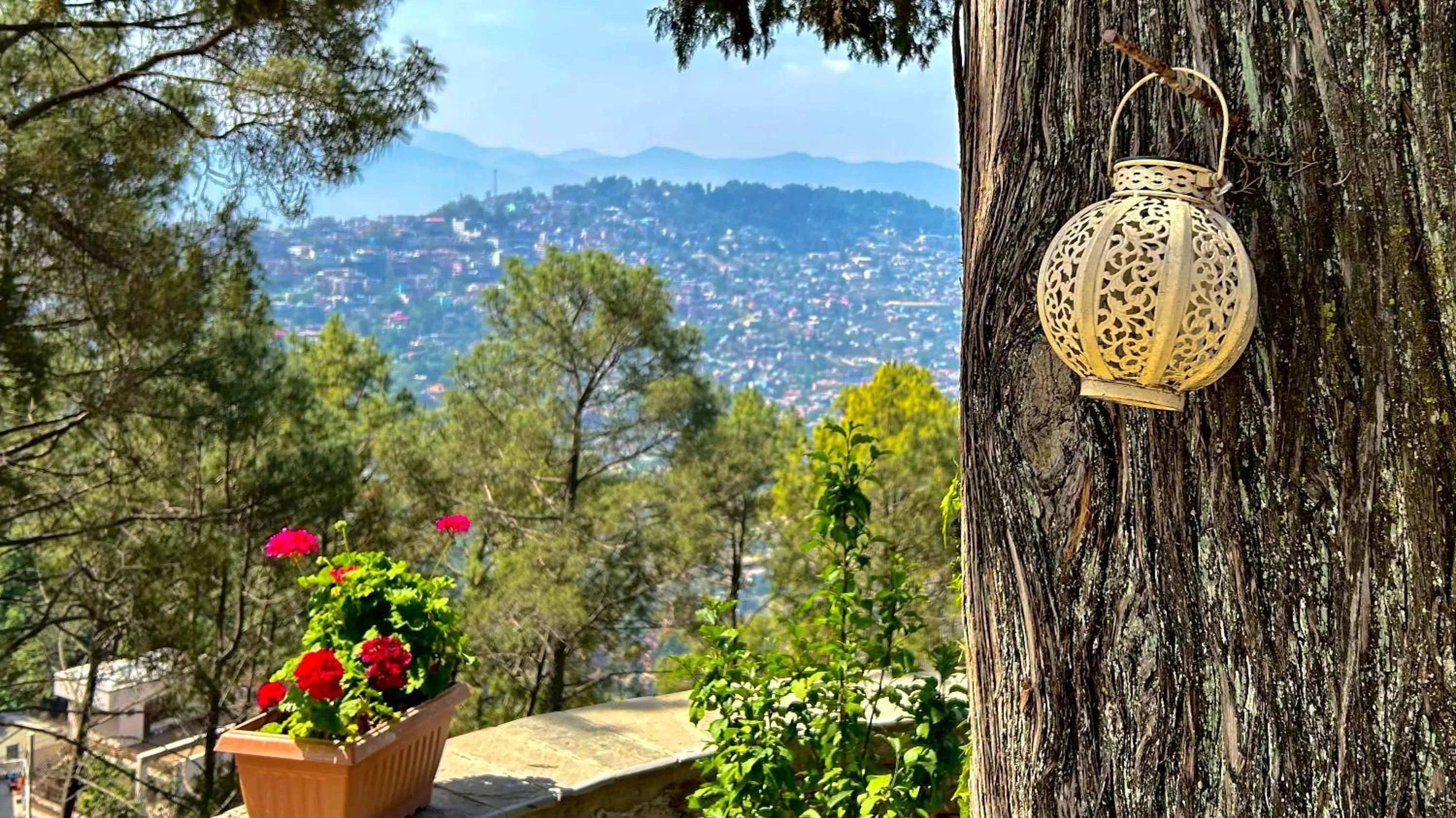 Shower in The Magnolia Lodge