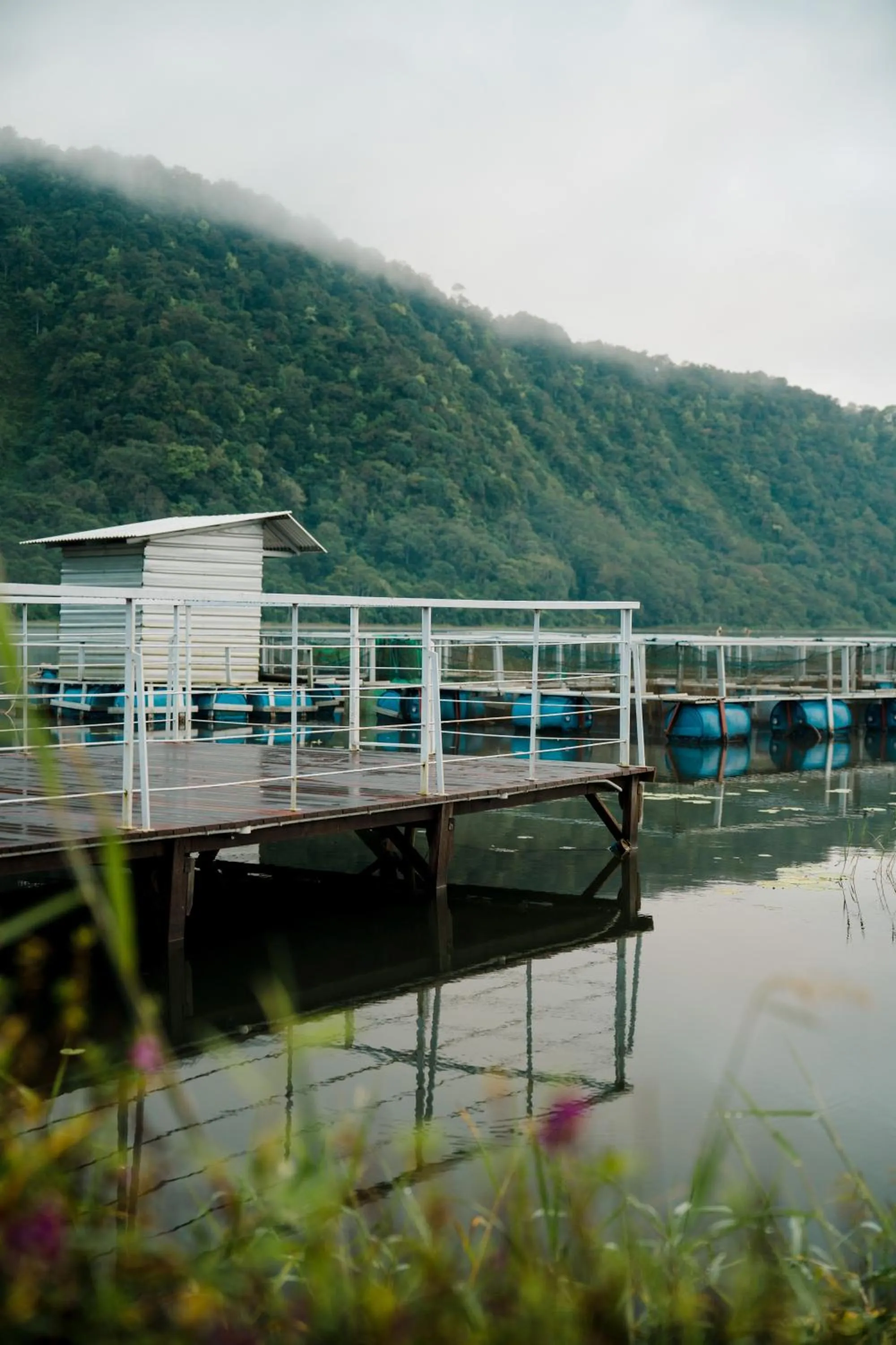 Lake view in The Dewi Bedugul