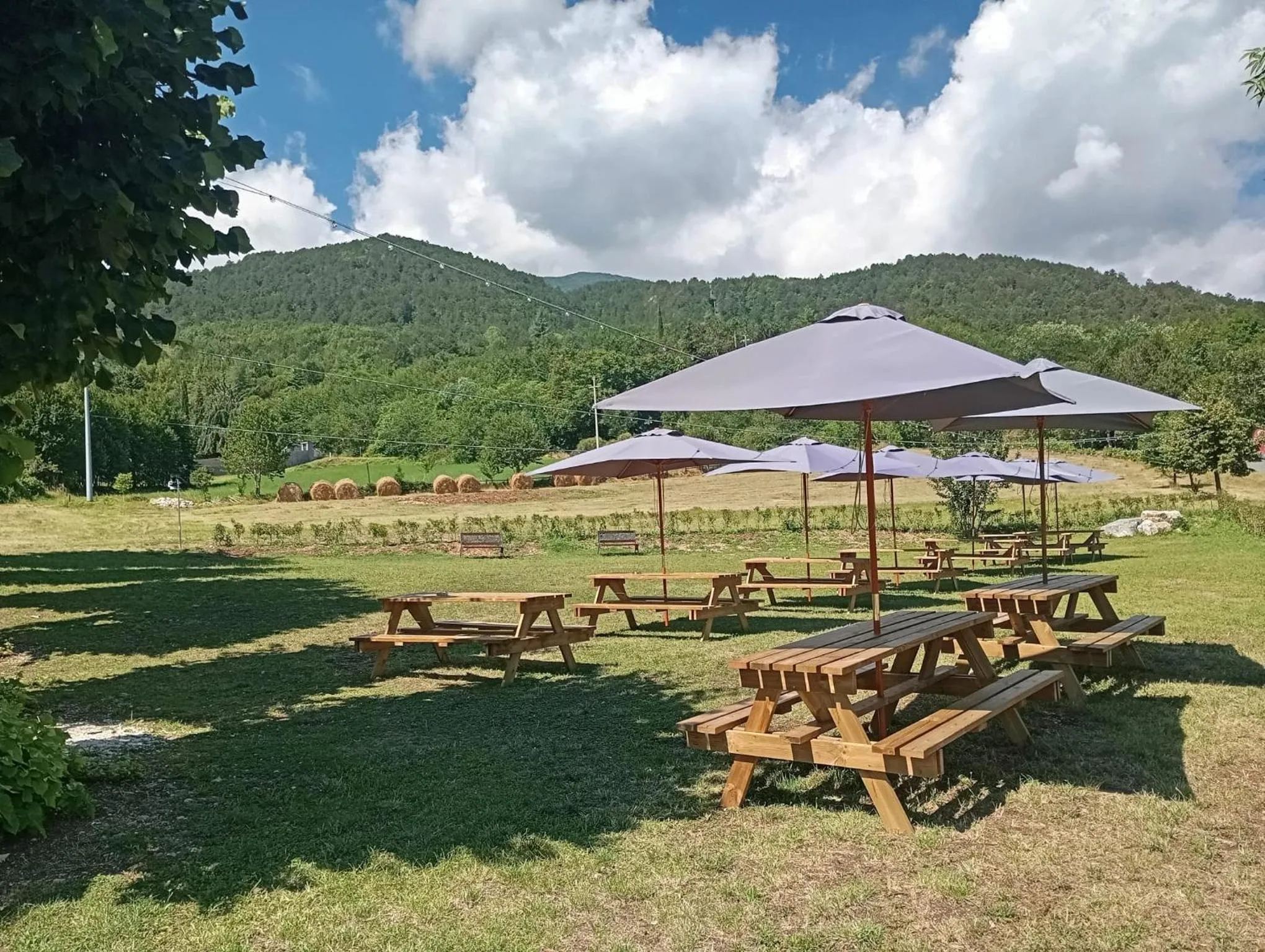 Garden in Hotel Altevie