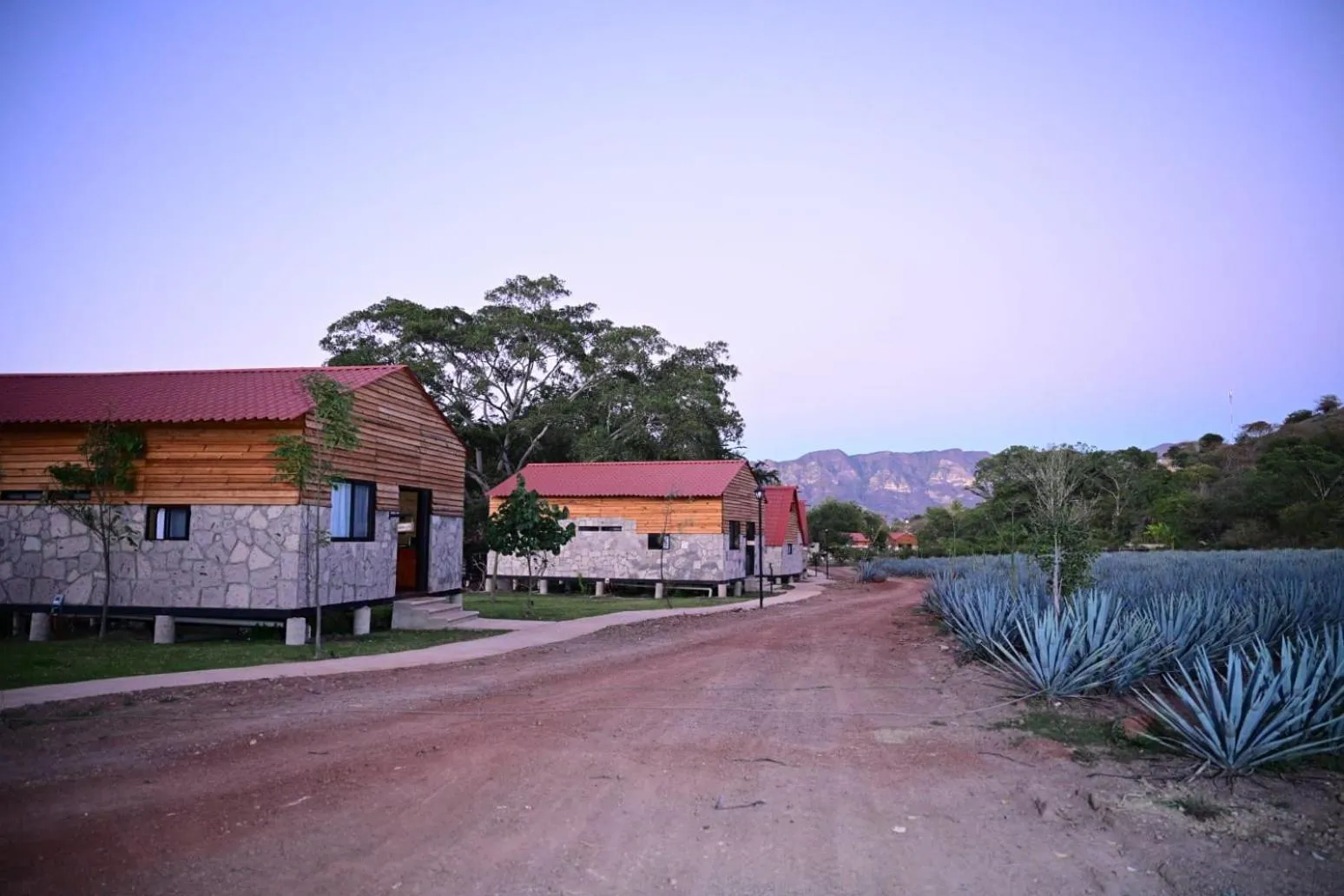 Natural landscape in Hotel cabañas yyukkai