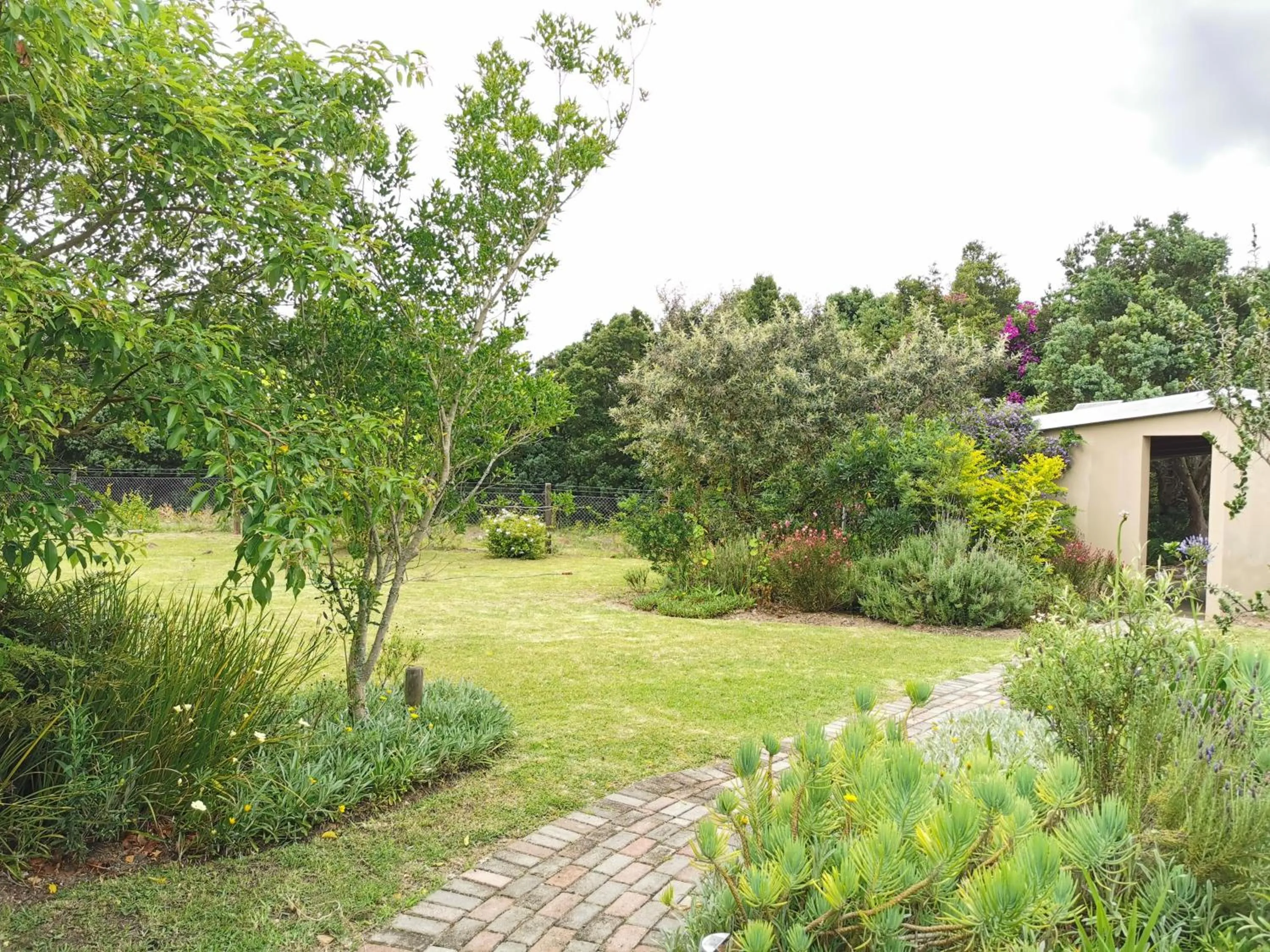 Natural landscape in Little Louisa