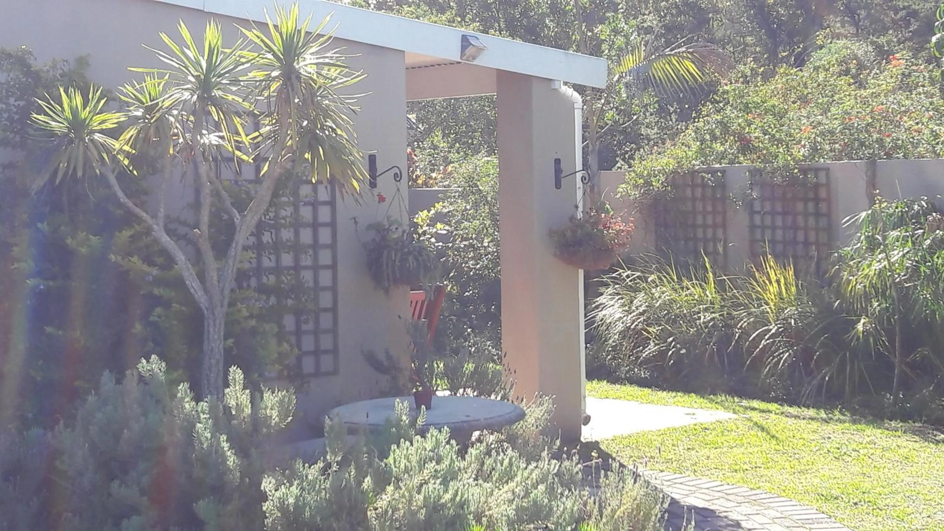 Garden view in Little Louisa