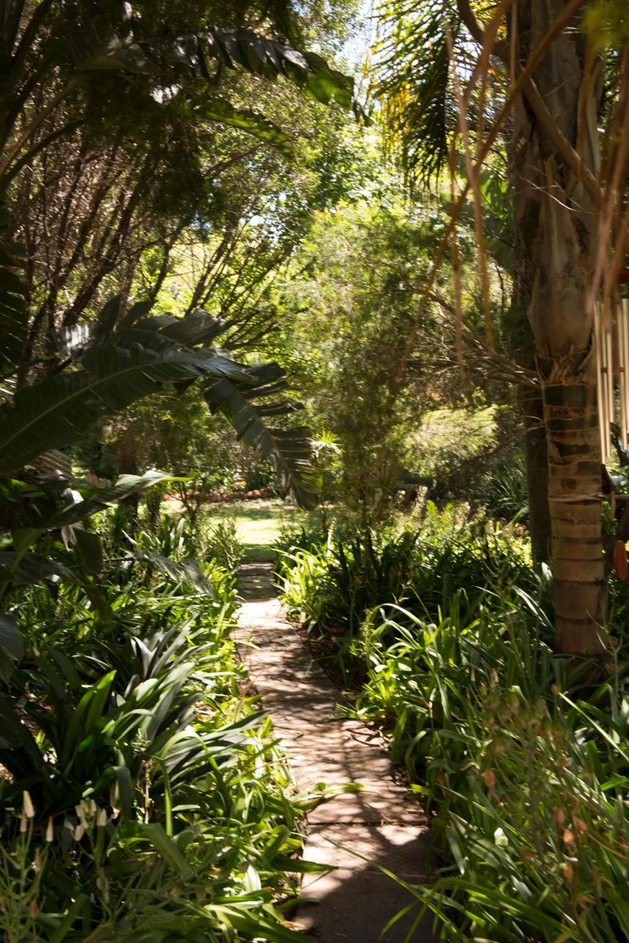 Garden in Tuareg Guest House