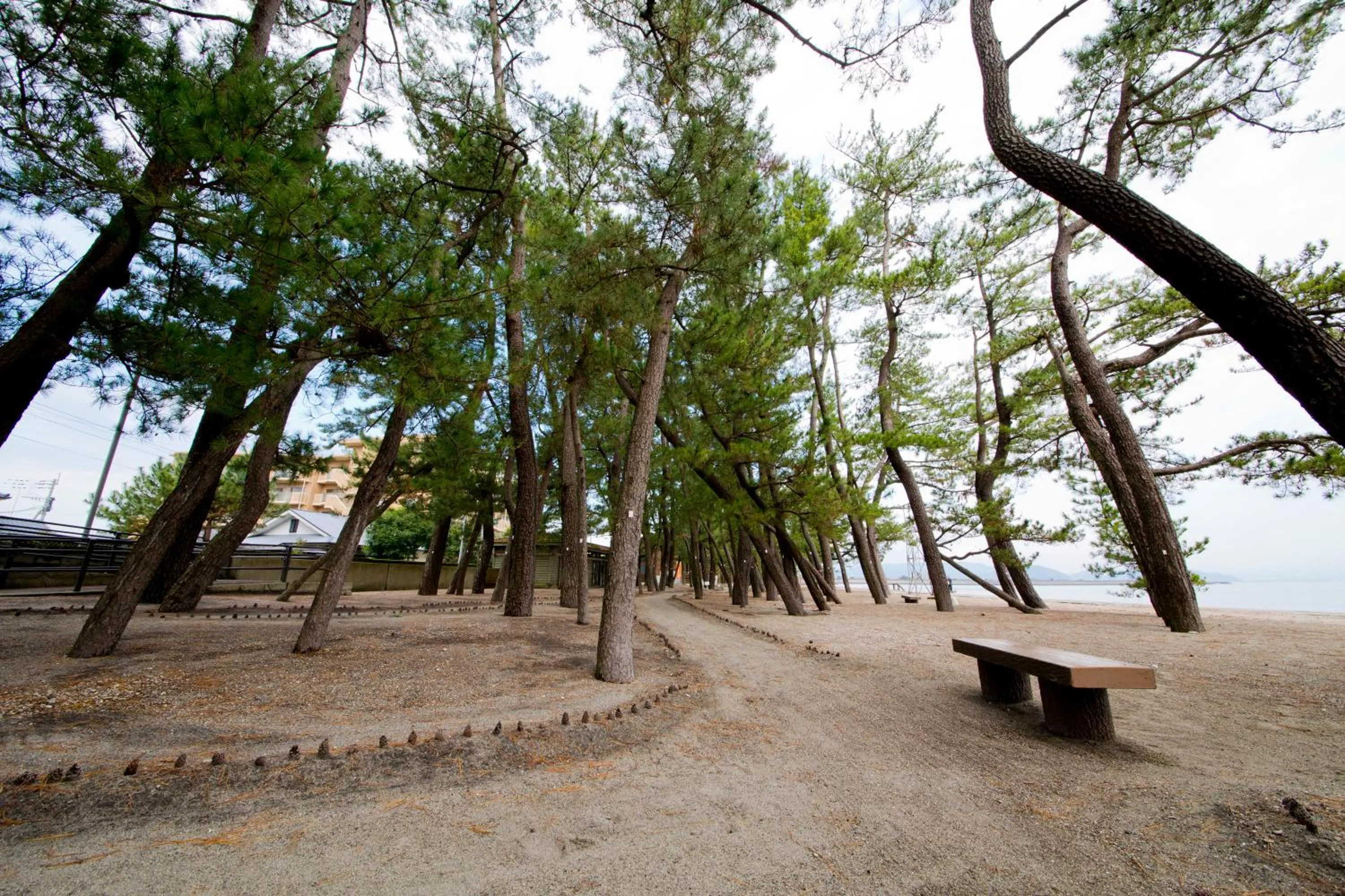 Natural landscape in AIRAIKUHOTEL kagoshima