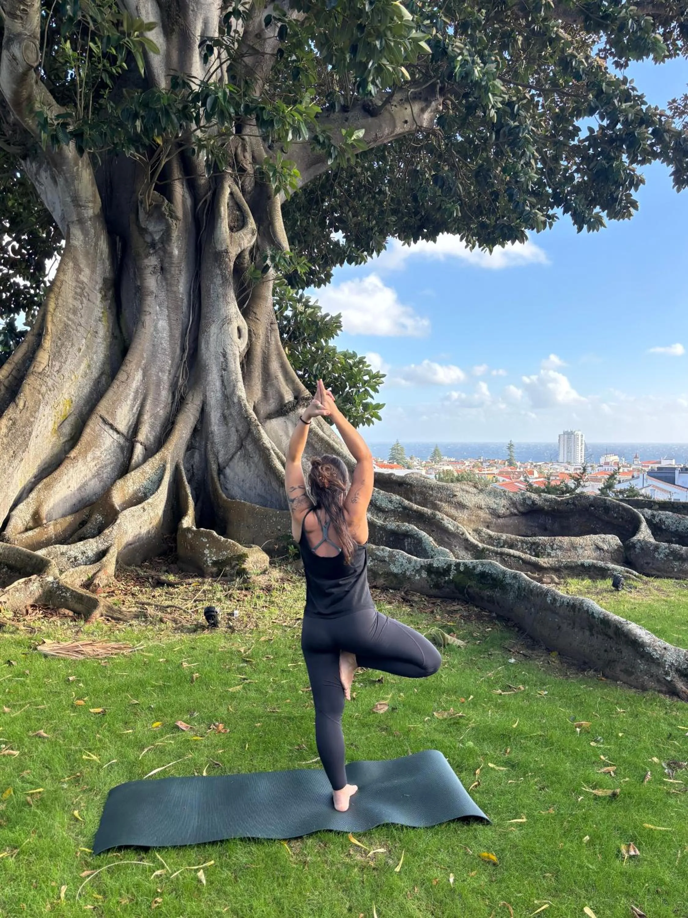 Activities in Solar dos Cantos Botanic House & Garden