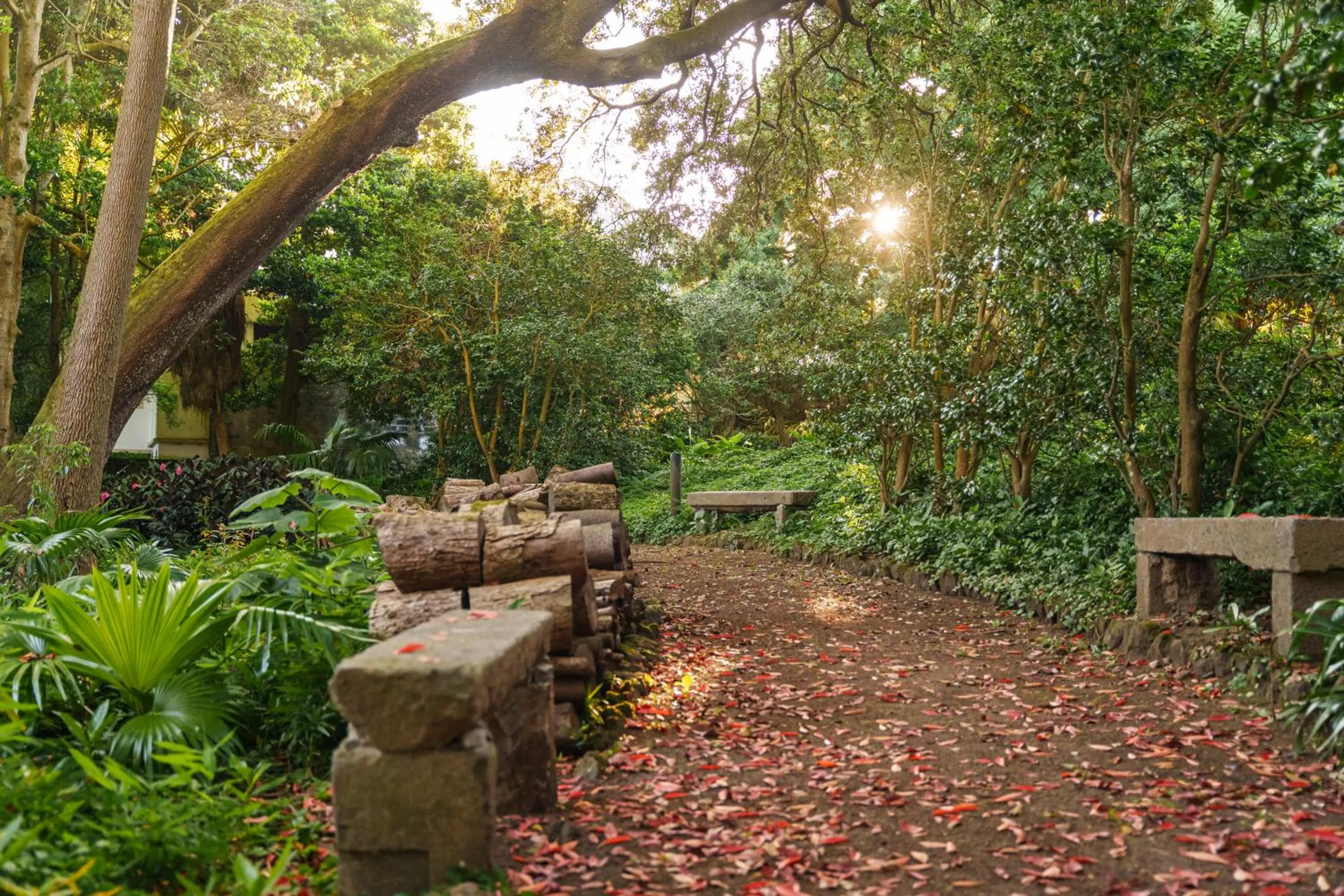 Garden in Solar dos Cantos Botanic House & Garden