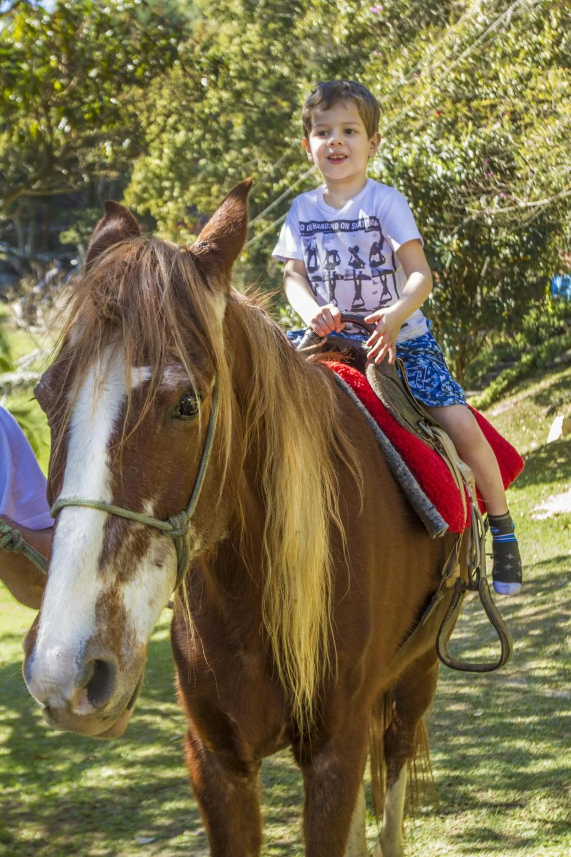Horse-riding in Pousada Céu de Luz - Próximo a Monte Verde