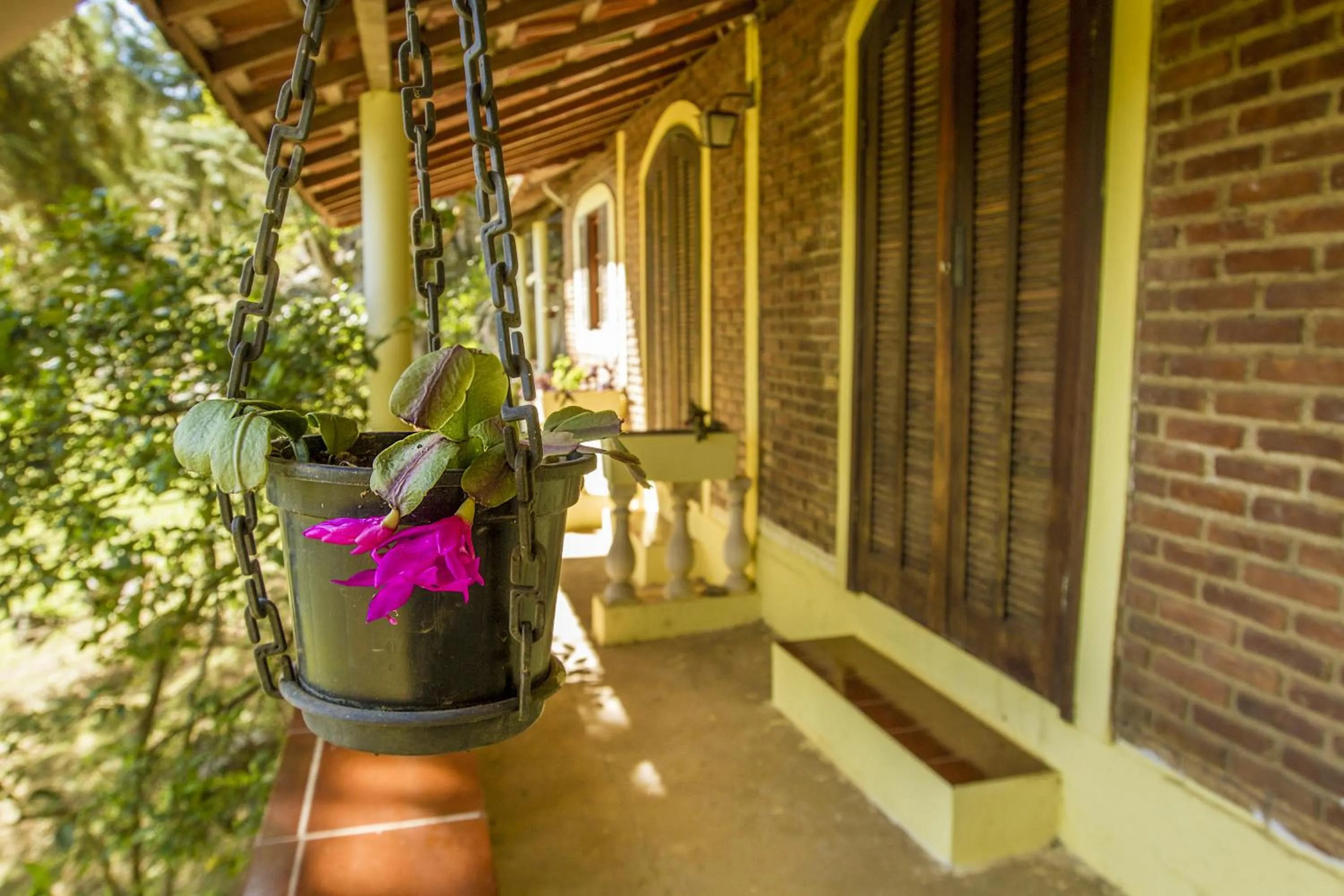 Balcony/Terrace in Pousada Céu de Luz - Próximo a Monte Verde